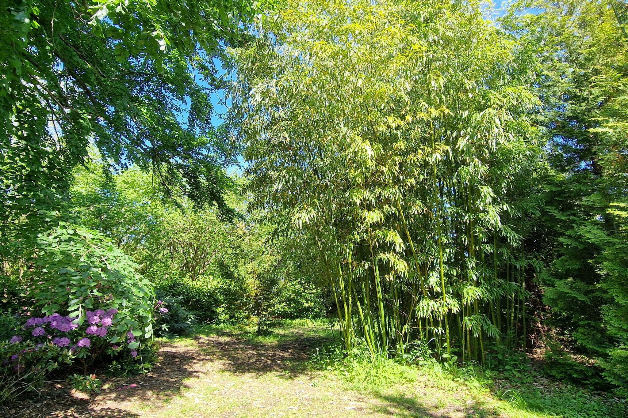 Cozy Retreat by Koge Bay - By Traum Ferienwohnungen