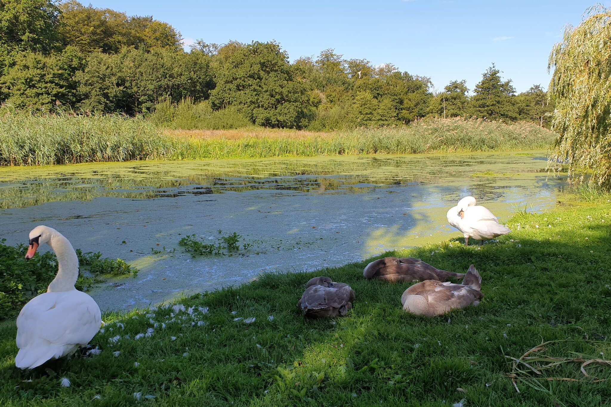 Cozy Retreat by Koge Bay - By Traum Ferienwohnungen-Water view