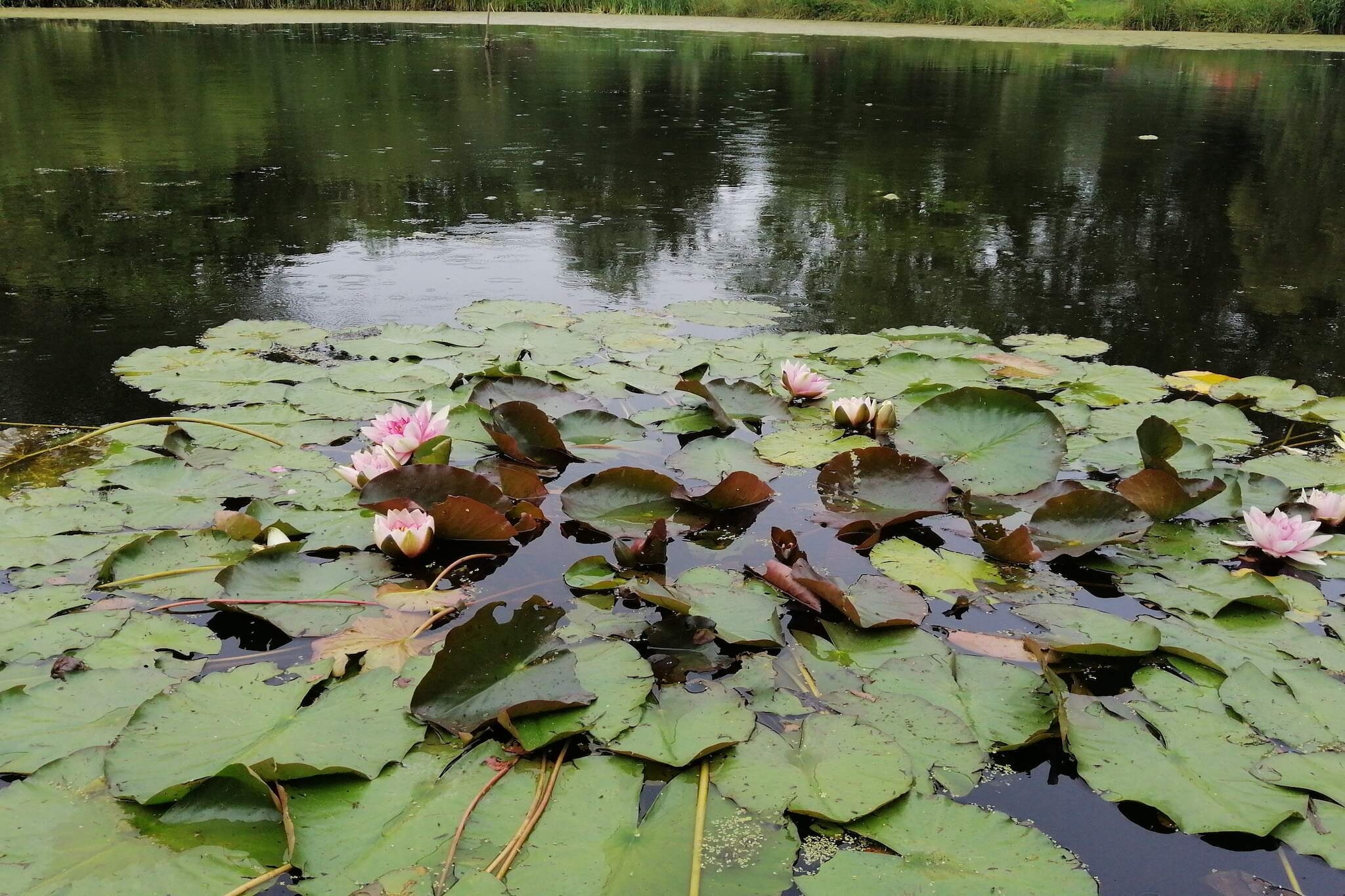 Cozy Retreat by Koge Bay - By Traum Ferienwohnungen-Water view