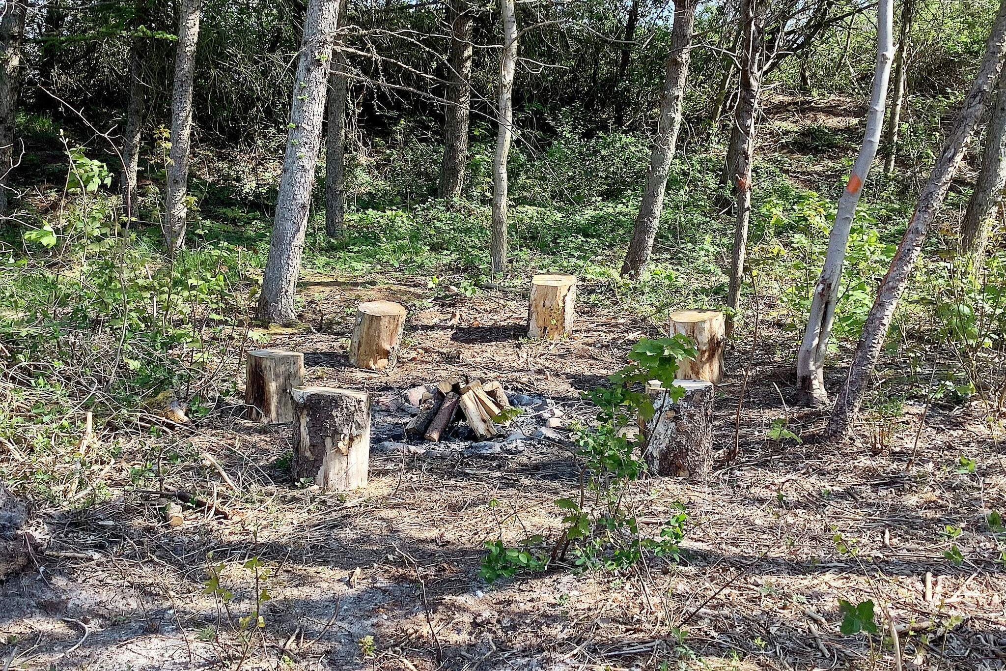 5 sterren vakantie huis in Vestervig-By Traum - Buitenlucht
