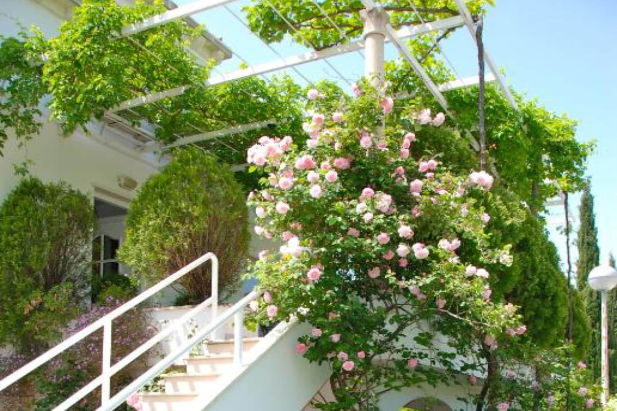 Villa Mediterranea - One Bedroom Apartment with Sea View