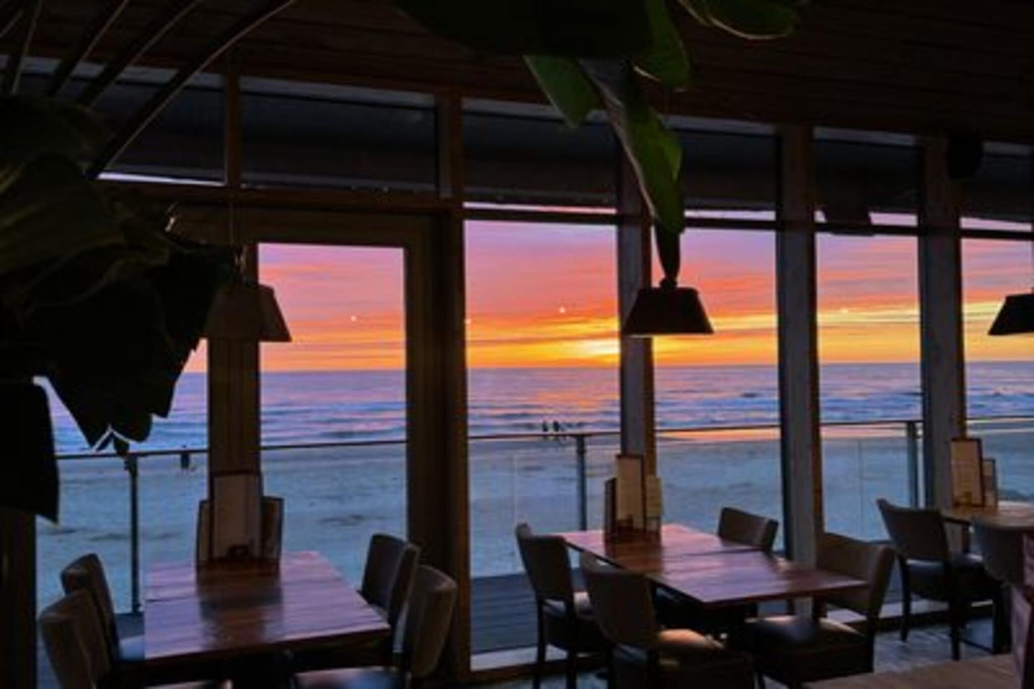 Reddingshuisje - Duynpark