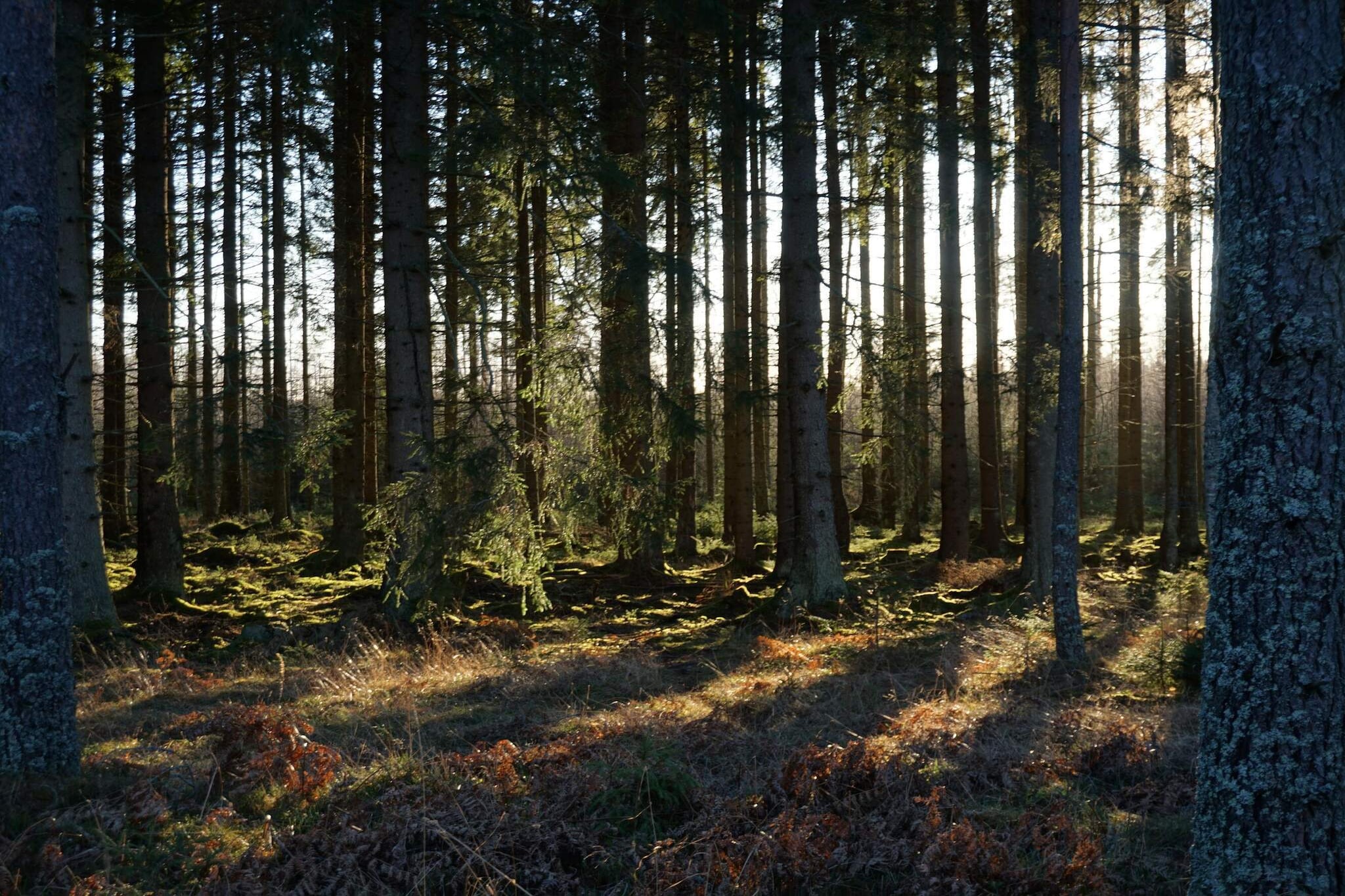 4 etoiles maison de vacances a MALMKÖPING