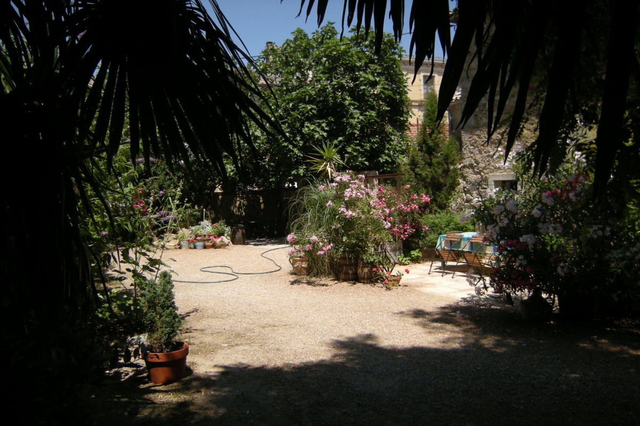 96250-Jardin d'été