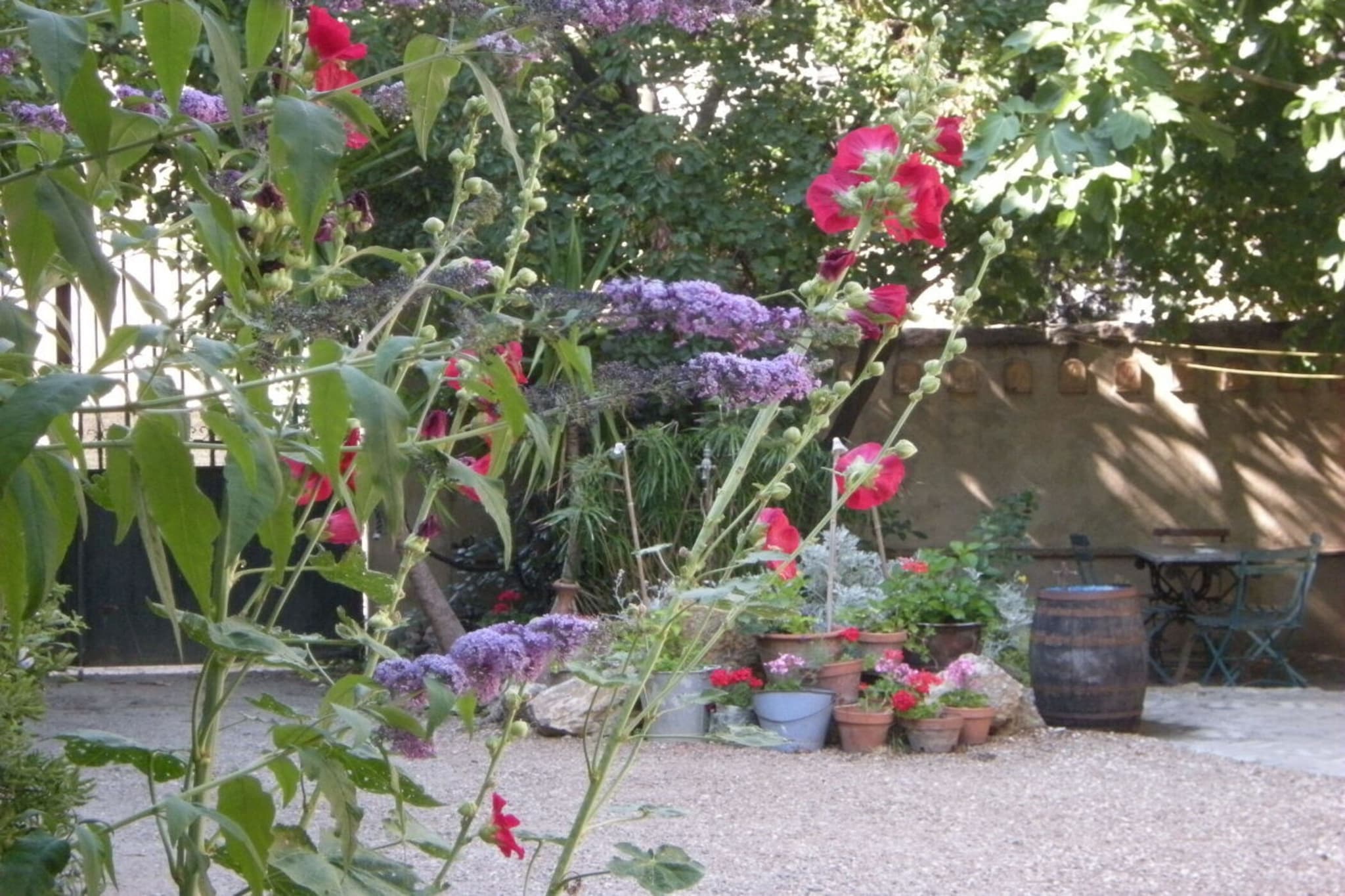 96250-Jardin d'été