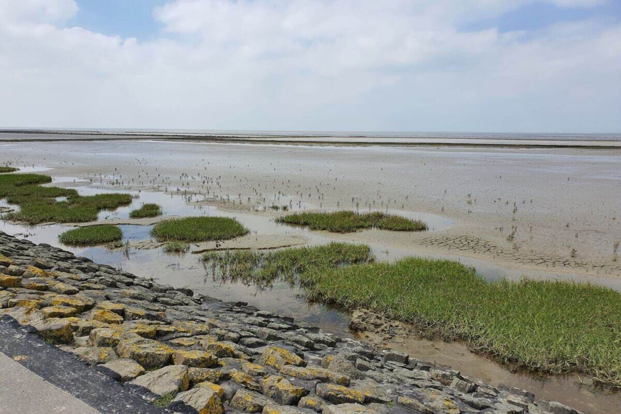 292612-Image-tags.water view