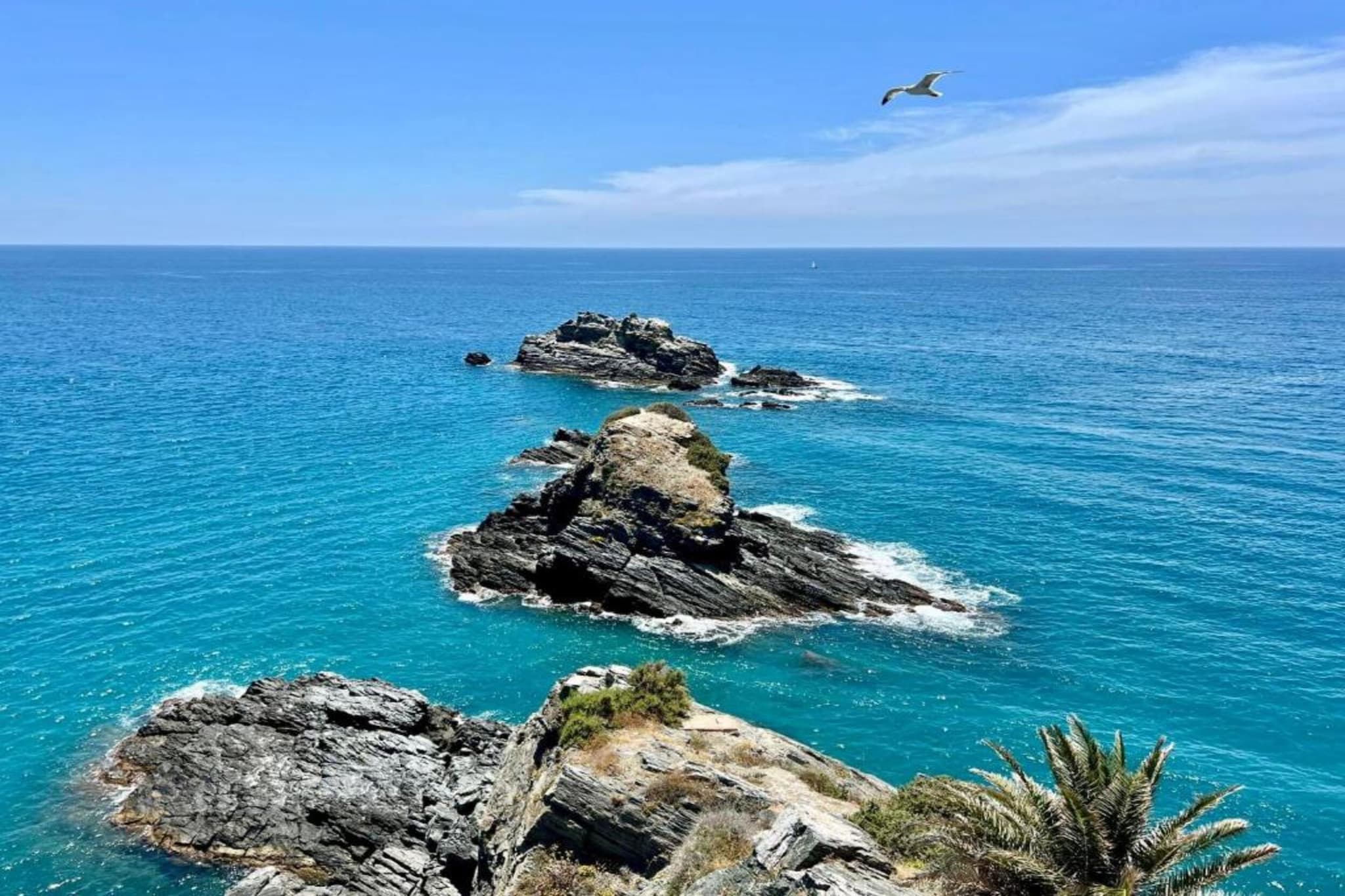 Apartamento Reina Sofía Primera linea de playa-Gebiete Sommer 5 km