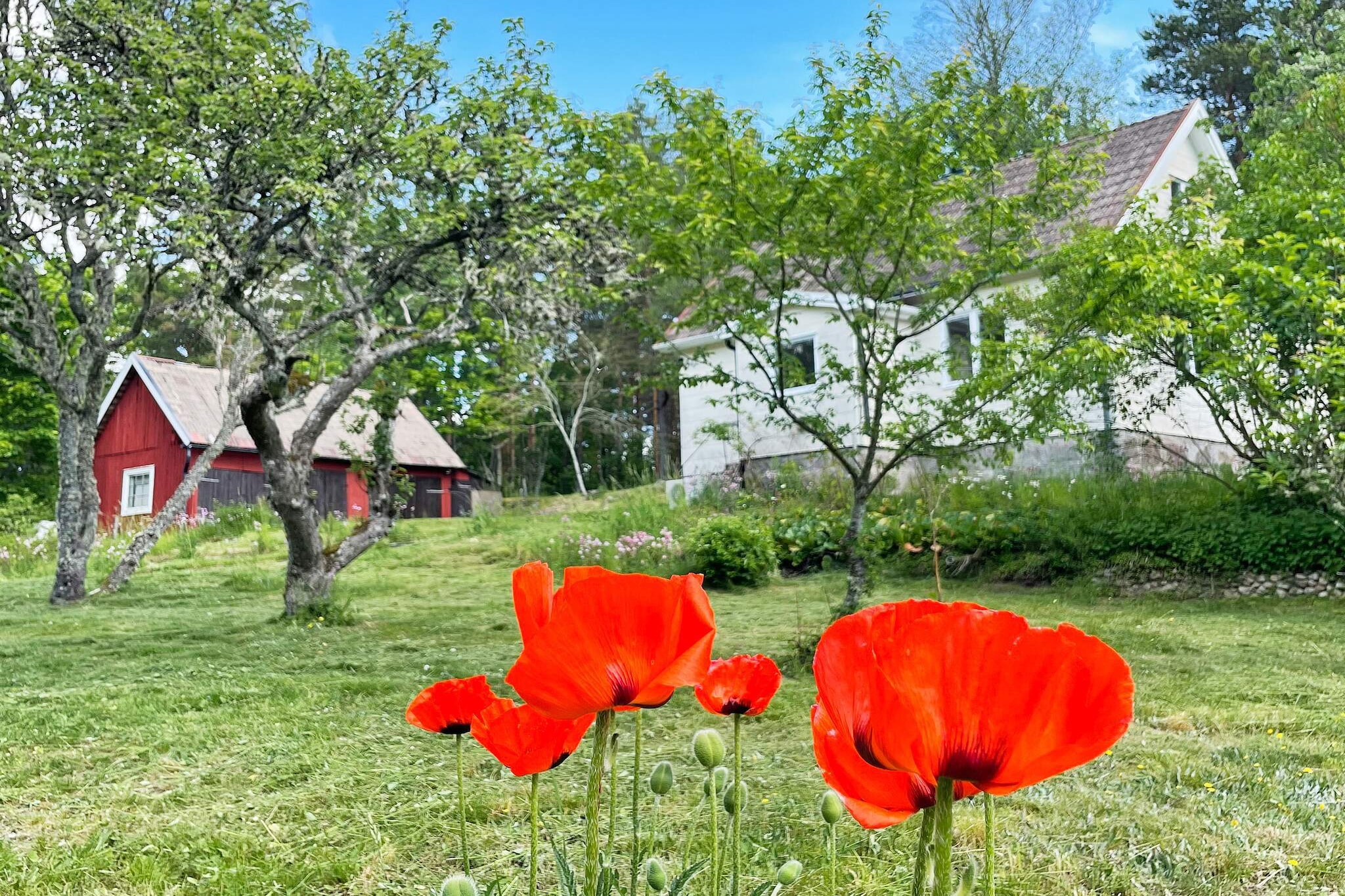 4 persoons vakantie huis in ASARUM - Buitenlucht