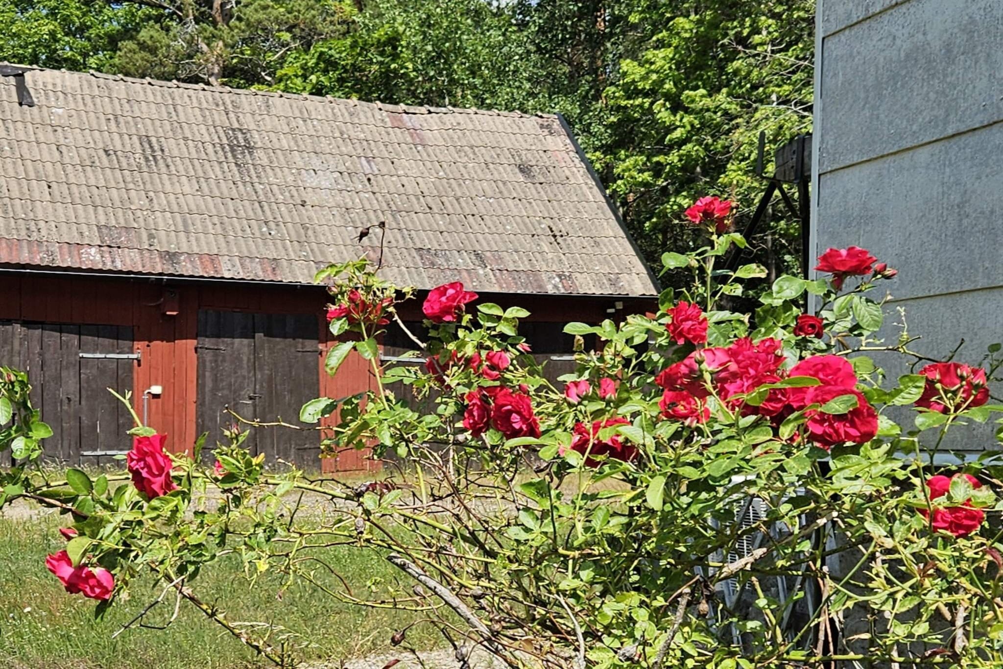 4 persoons vakantie huis in ASARUM - Buitenlucht