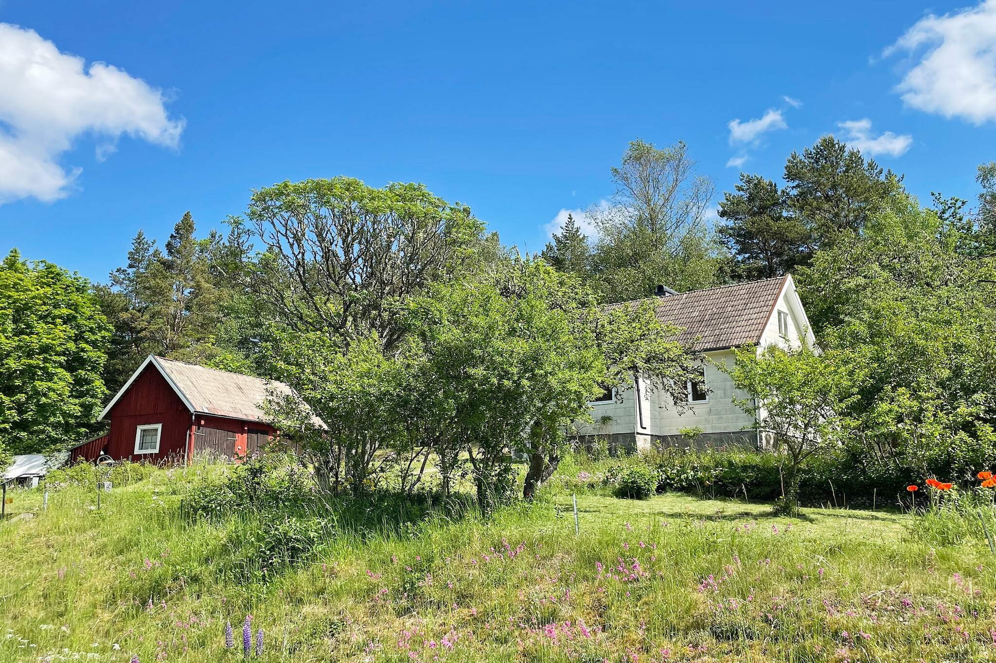 4 persoons vakantie huis in ASARUM - Buitenlucht