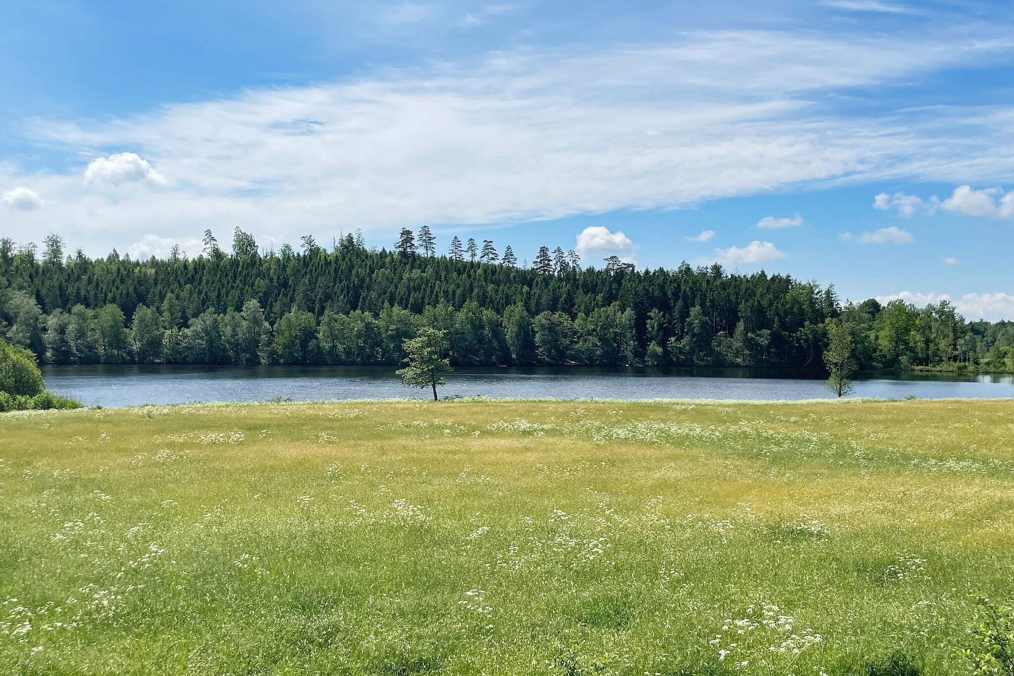 4 persoons vakantie huis in ASARUM - Buitenlucht