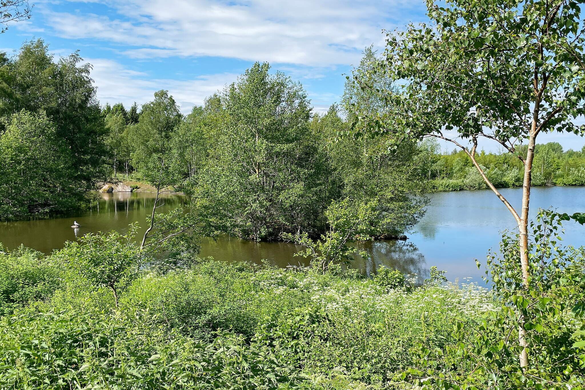 6 Personen Ferienhaus in Ödeshög - Wasserblick