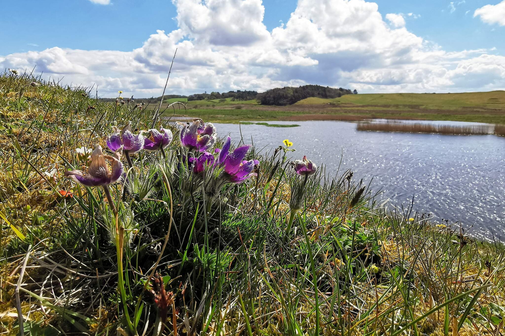 4 sterren vakantie huis in Gedsted-By Traum - Waterzicht
