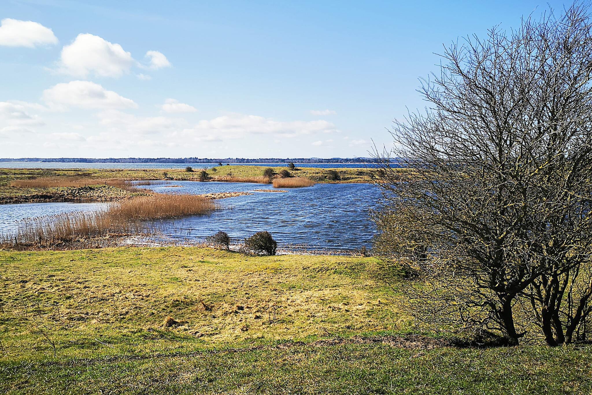 4 sterren vakantie huis in Gedsted-By Traum - Waterzicht