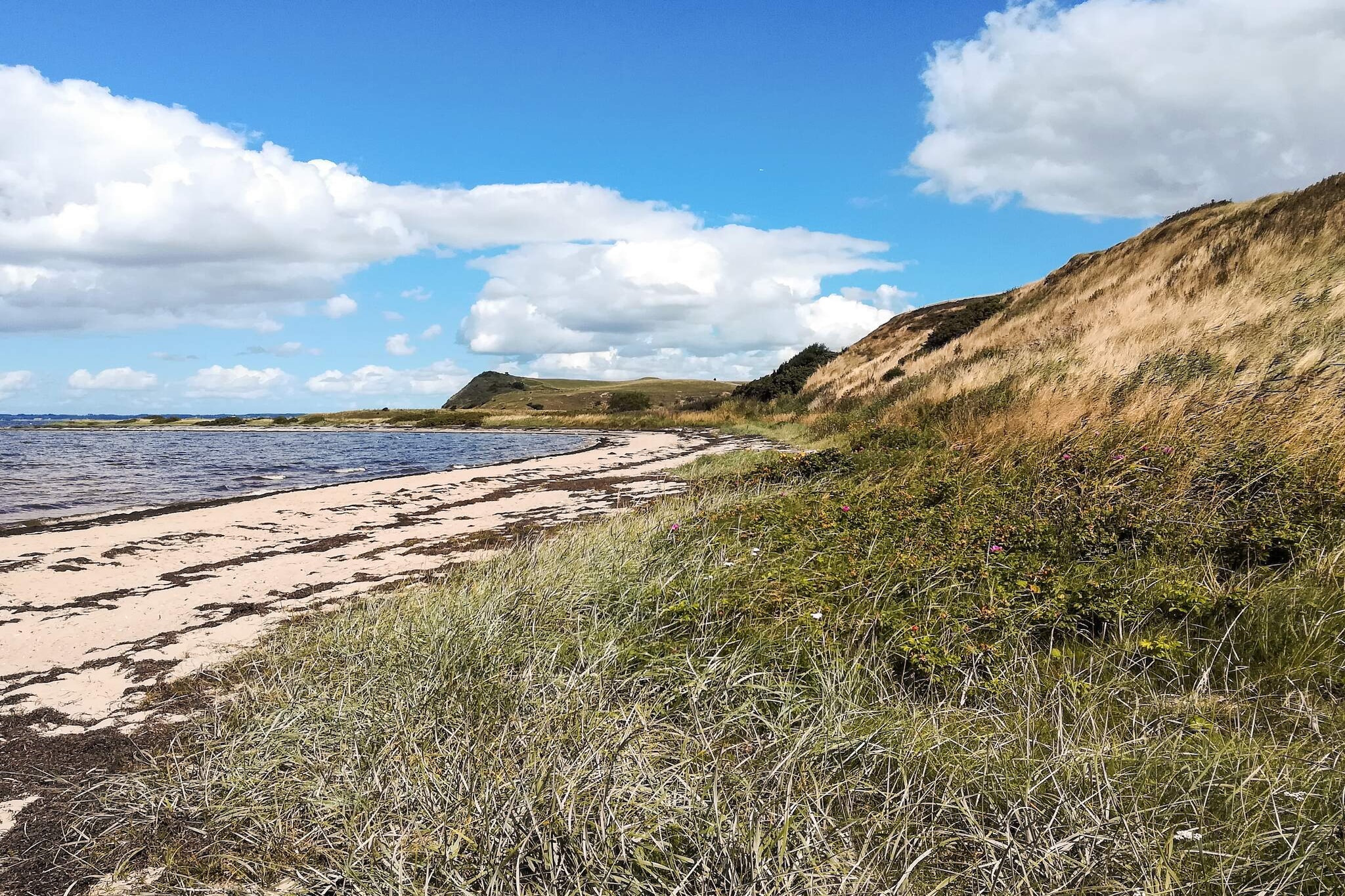 4 sterren vakantie huis in Gedsted-By Traum - Waterzicht