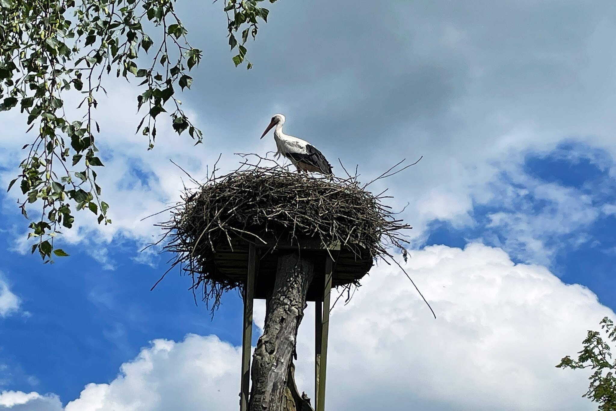Maison de vacances pour 4 a LÖVESTAD - Extérieur