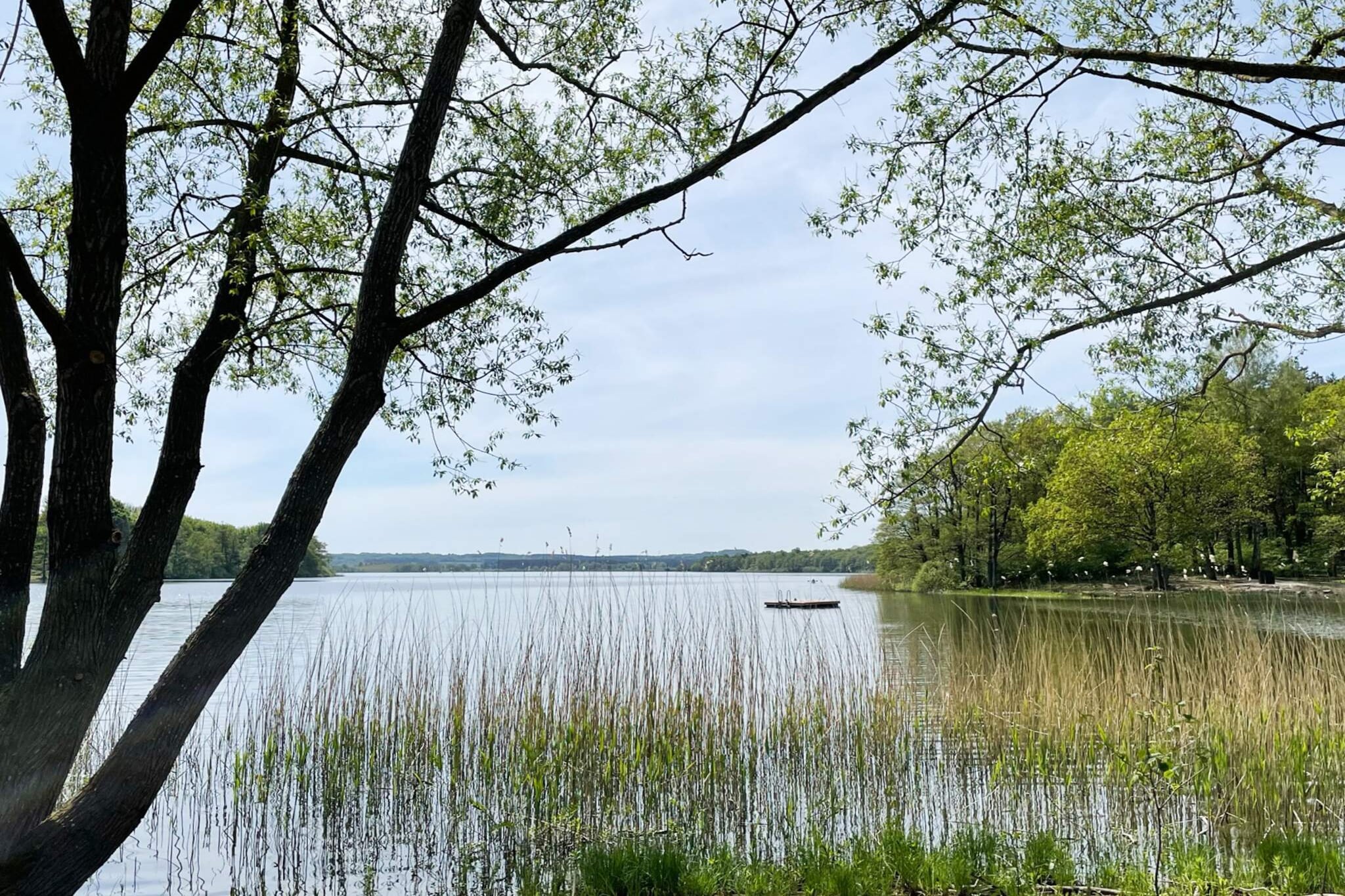 Maison de vacances pour 4 a LÖVESTAD - Non tagué