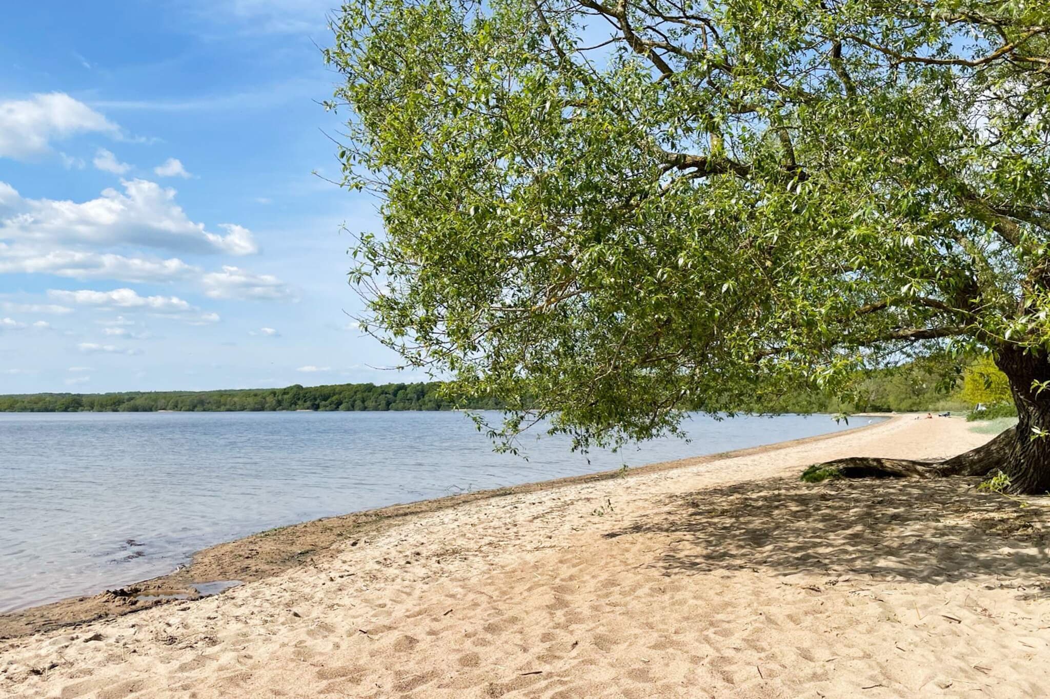 Maison de vacances pour 4 a LÖVESTAD - Non tagué