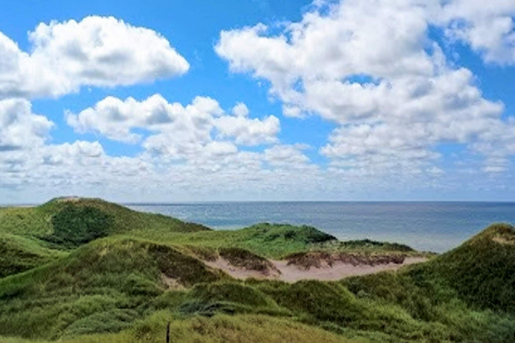 4 etoiles maison de vacances a Ulfborg-Vue