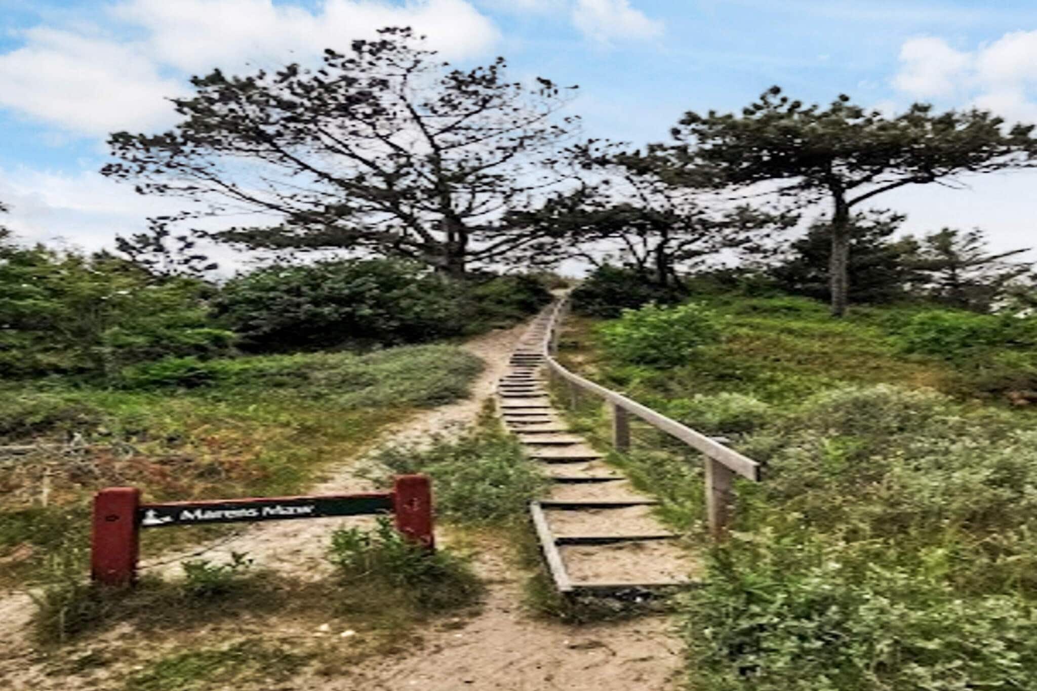 4 etoiles maison de vacances a Ulfborg-Vue