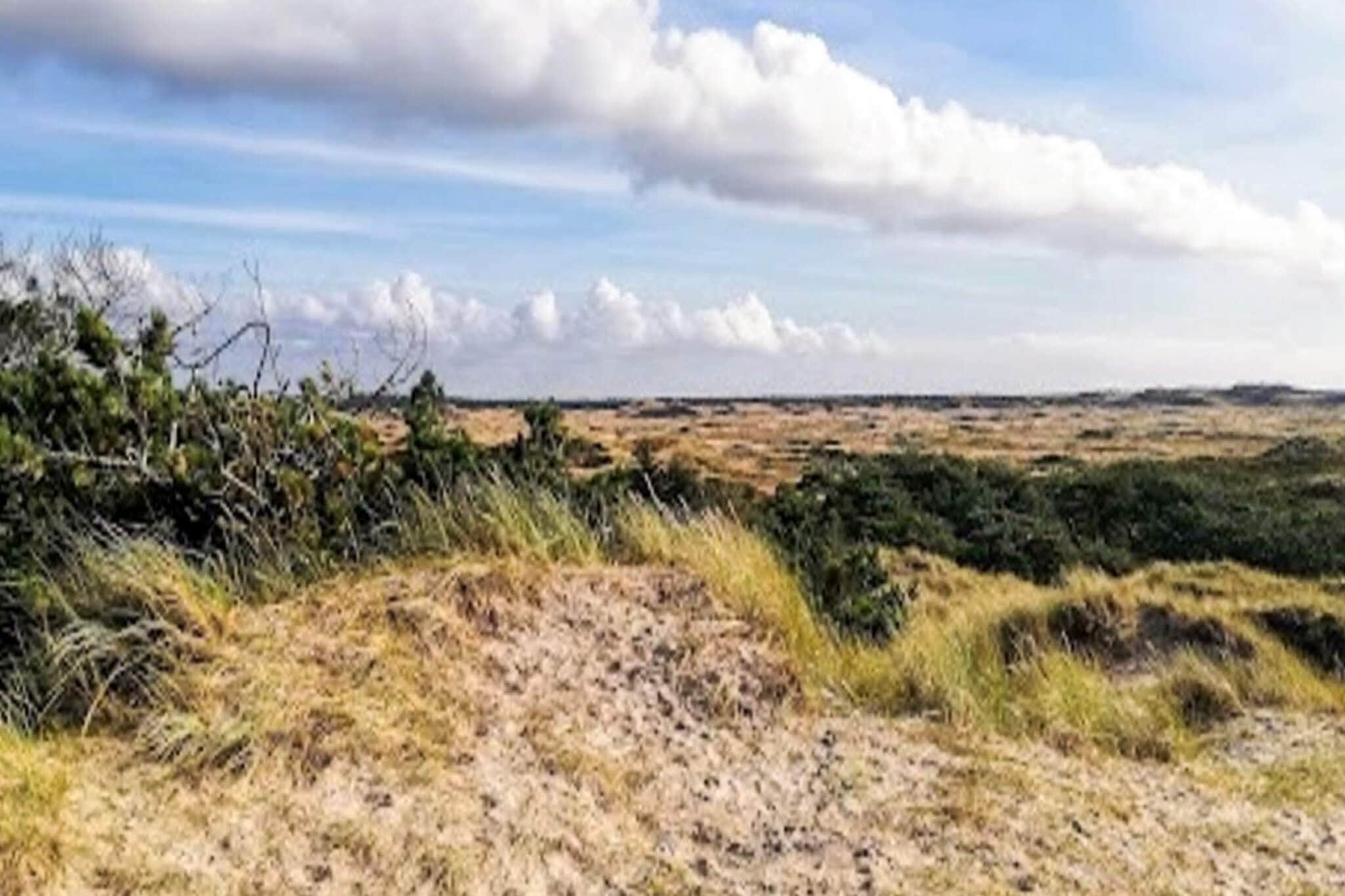 4 etoiles maison de vacances a Ulfborg-Vue