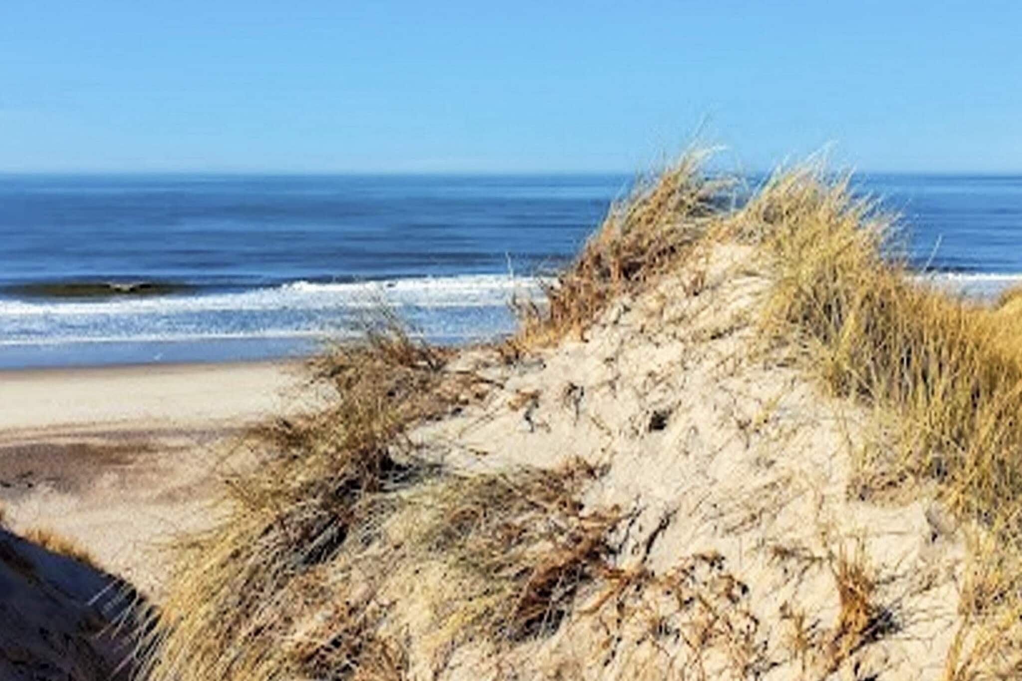 4 etoiles maison de vacances a Ulfborg-Vue
