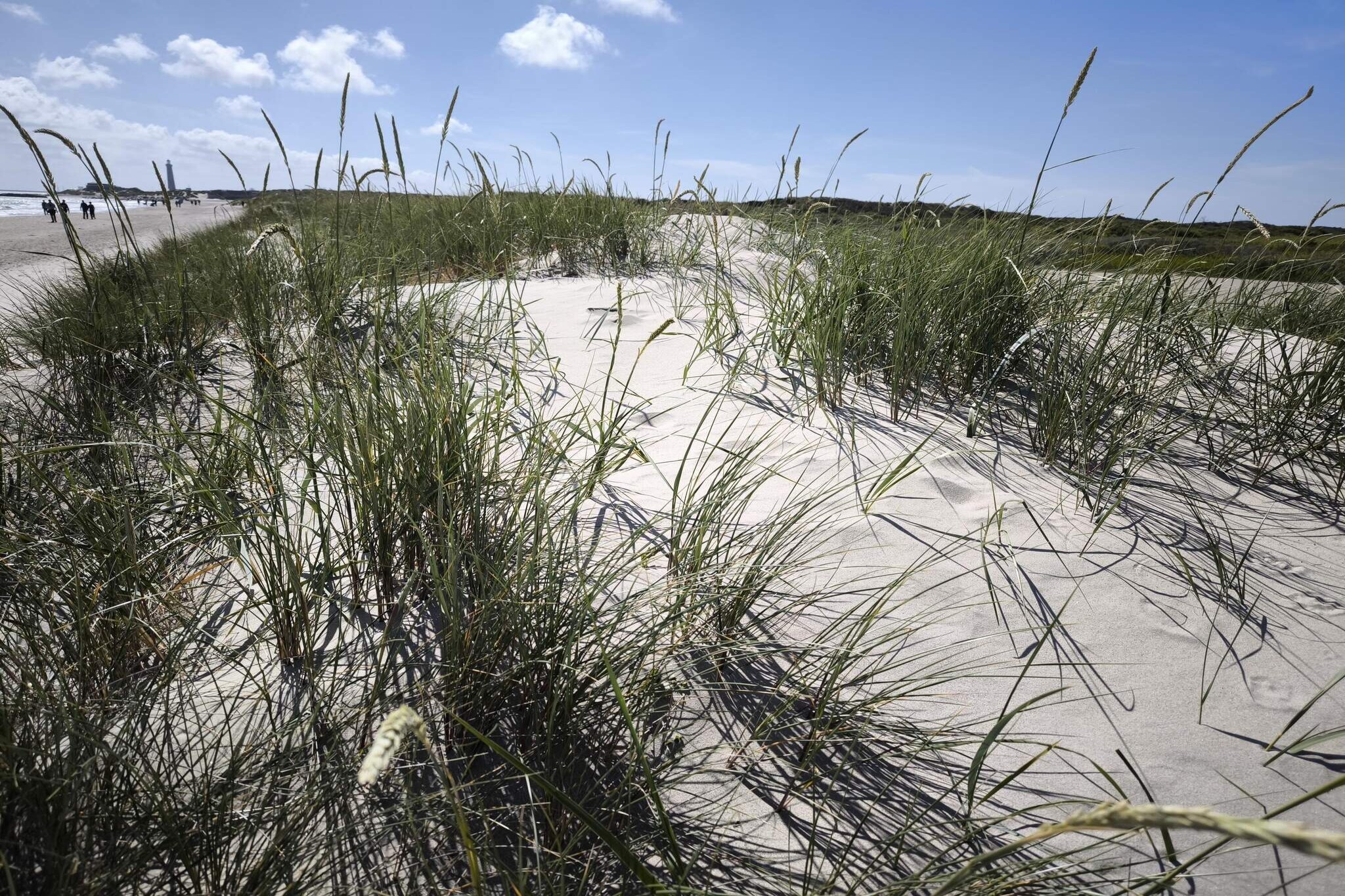 A refundable deposit might be charged closer to your check-in date. This deposit covers utilities consumed during your stay and any additional services that may be taken. The final amount will be adjusted based on actual meter readings, actual usage of extra services, and any remaining balance will be refunded within 21 days after checkout.