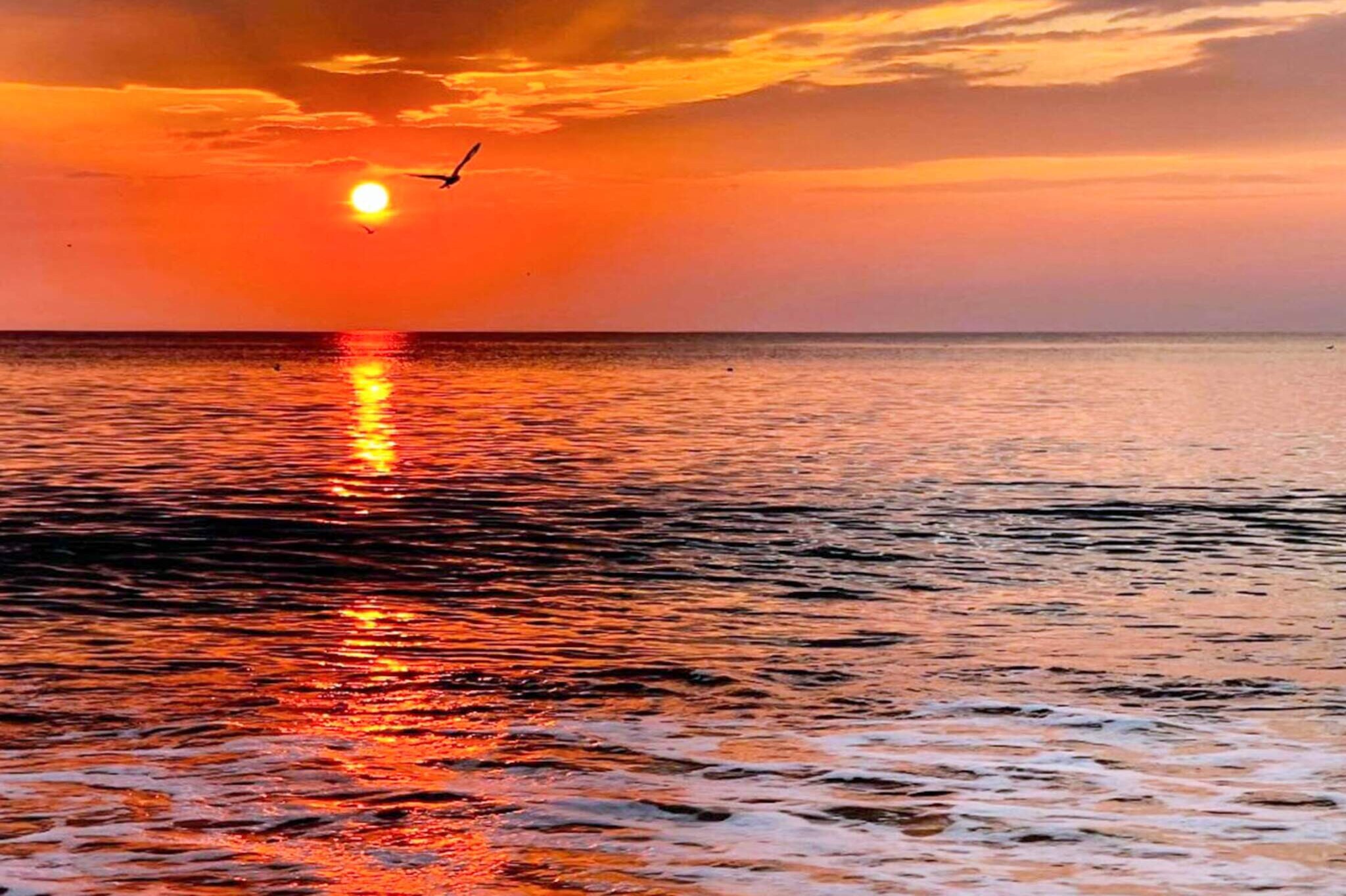 Luxe zwembadhuis bij zee -- By Traum Ferienwohnungen-Waterzicht