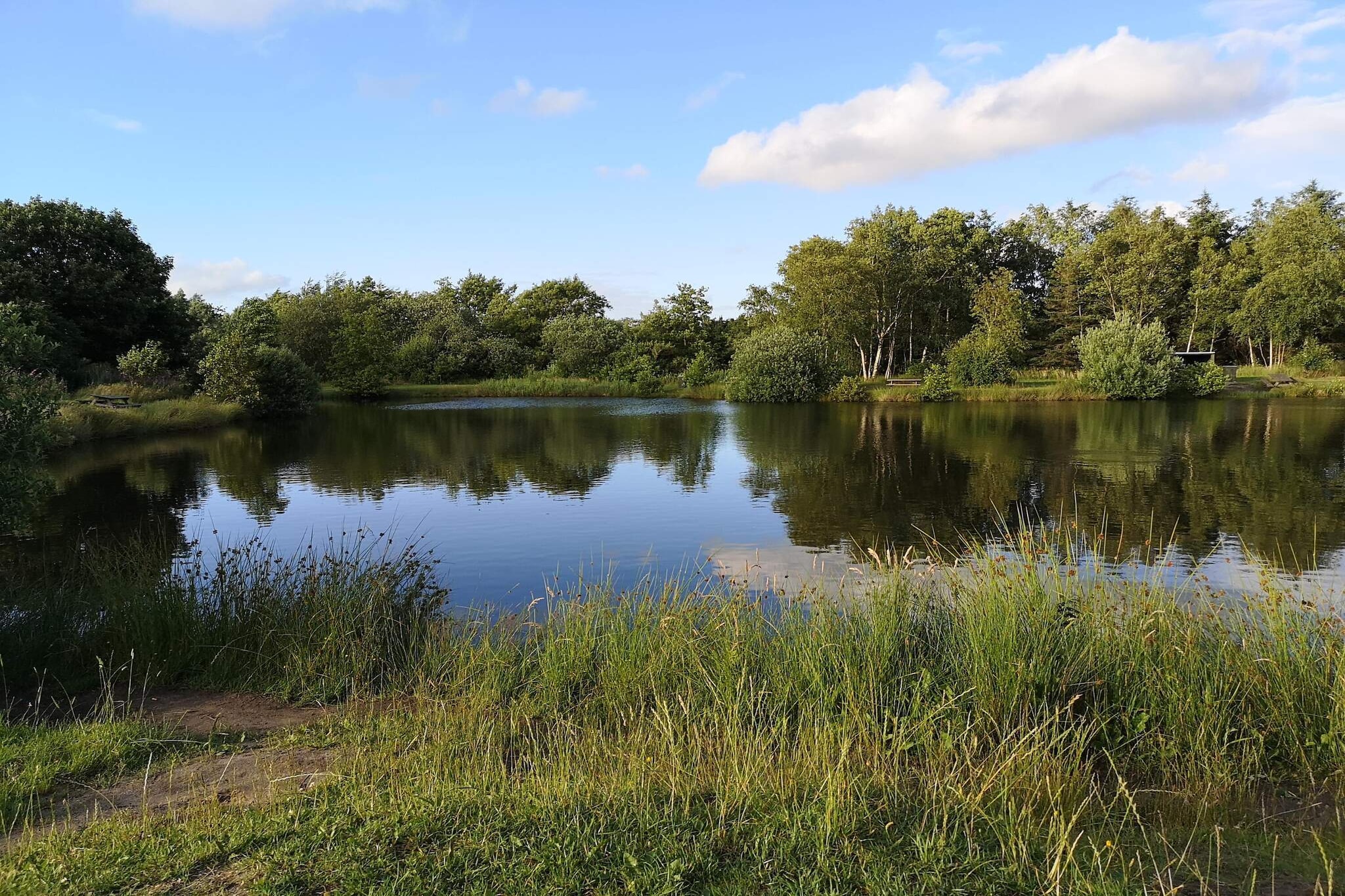 Luxury Forest Retreat - By Traum Ferienwohnungen-Water view