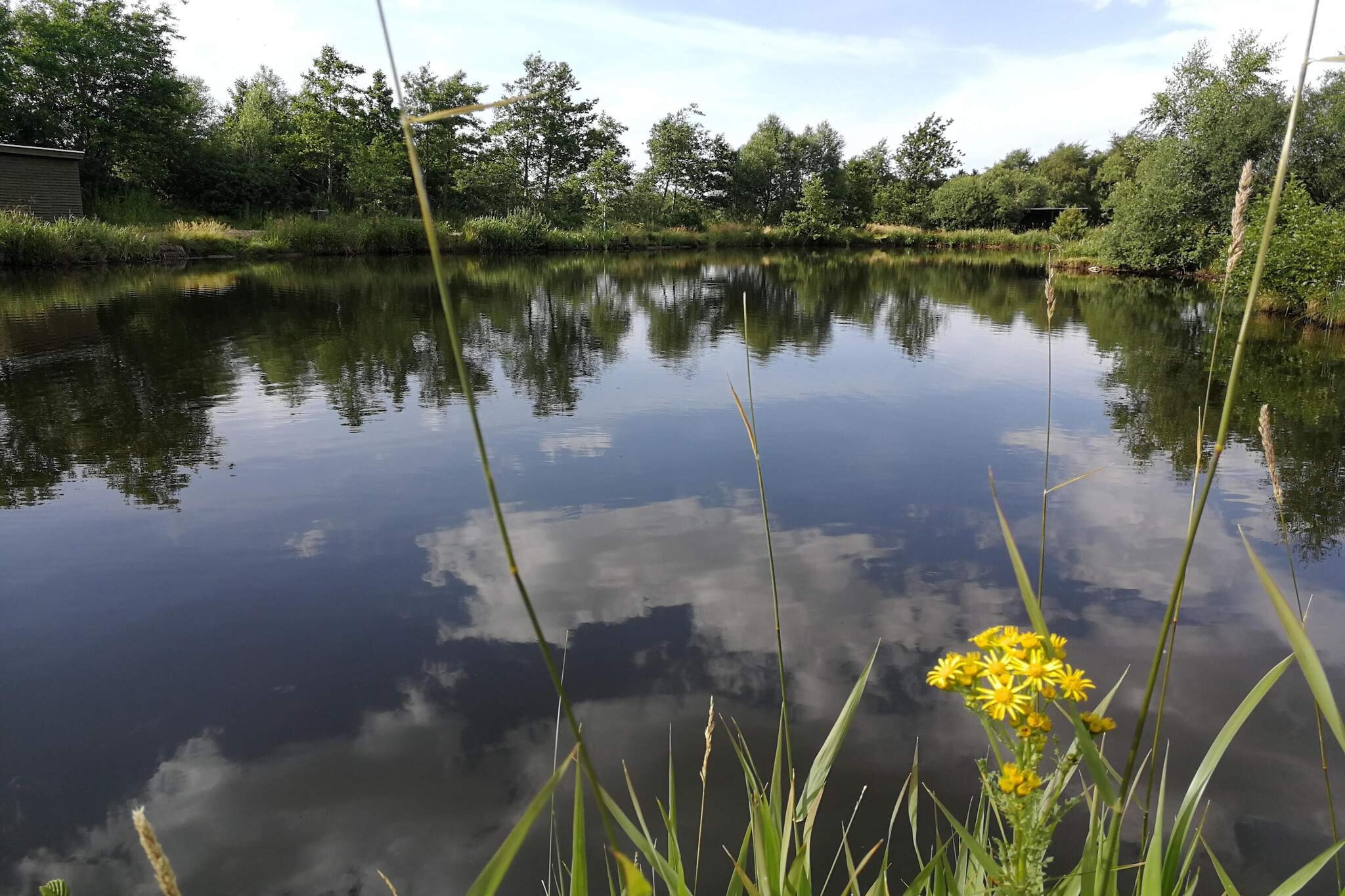 Luxury Forest Retreat - By Traum Ferienwohnungen-Water view