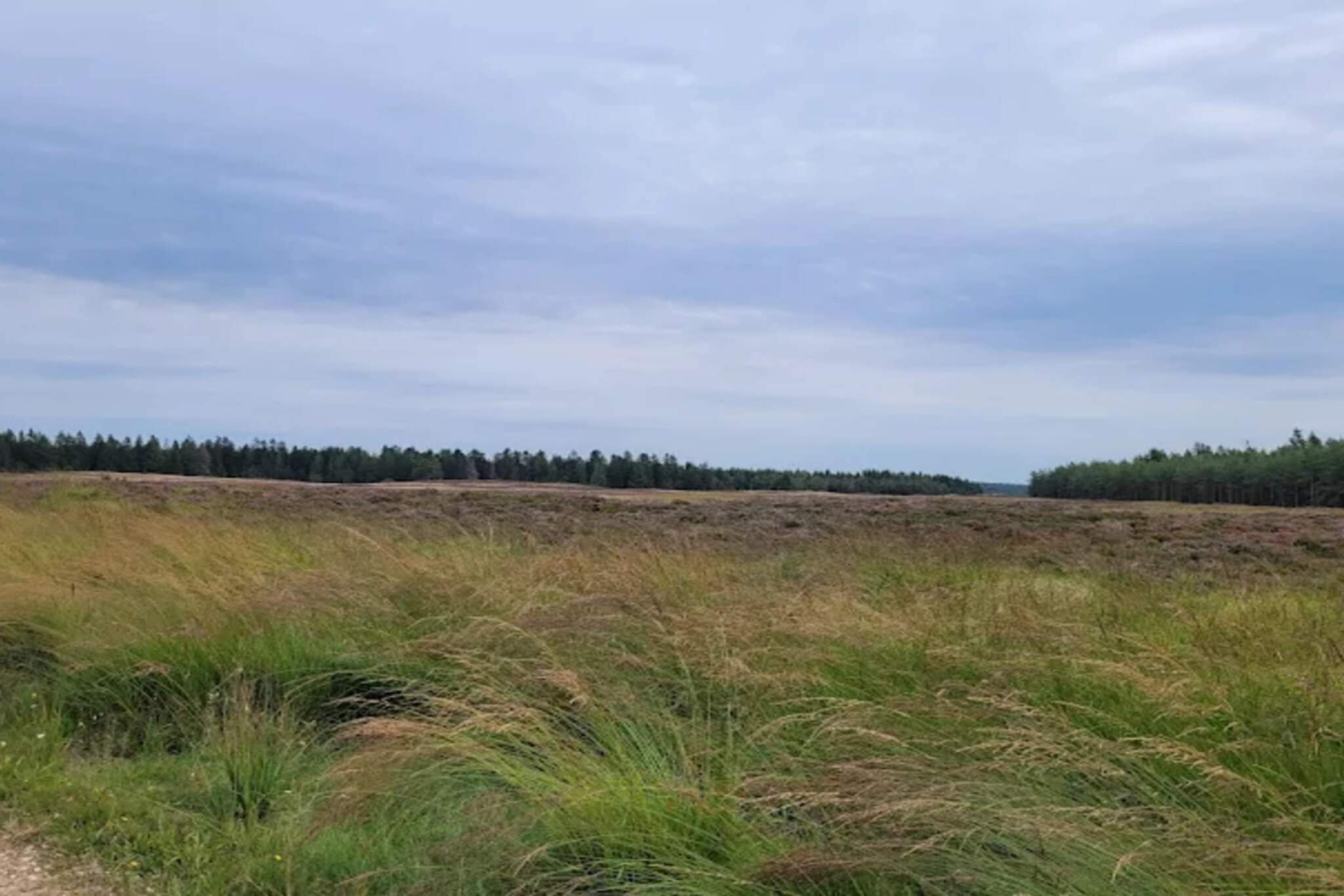 4 star holiday home in Brande