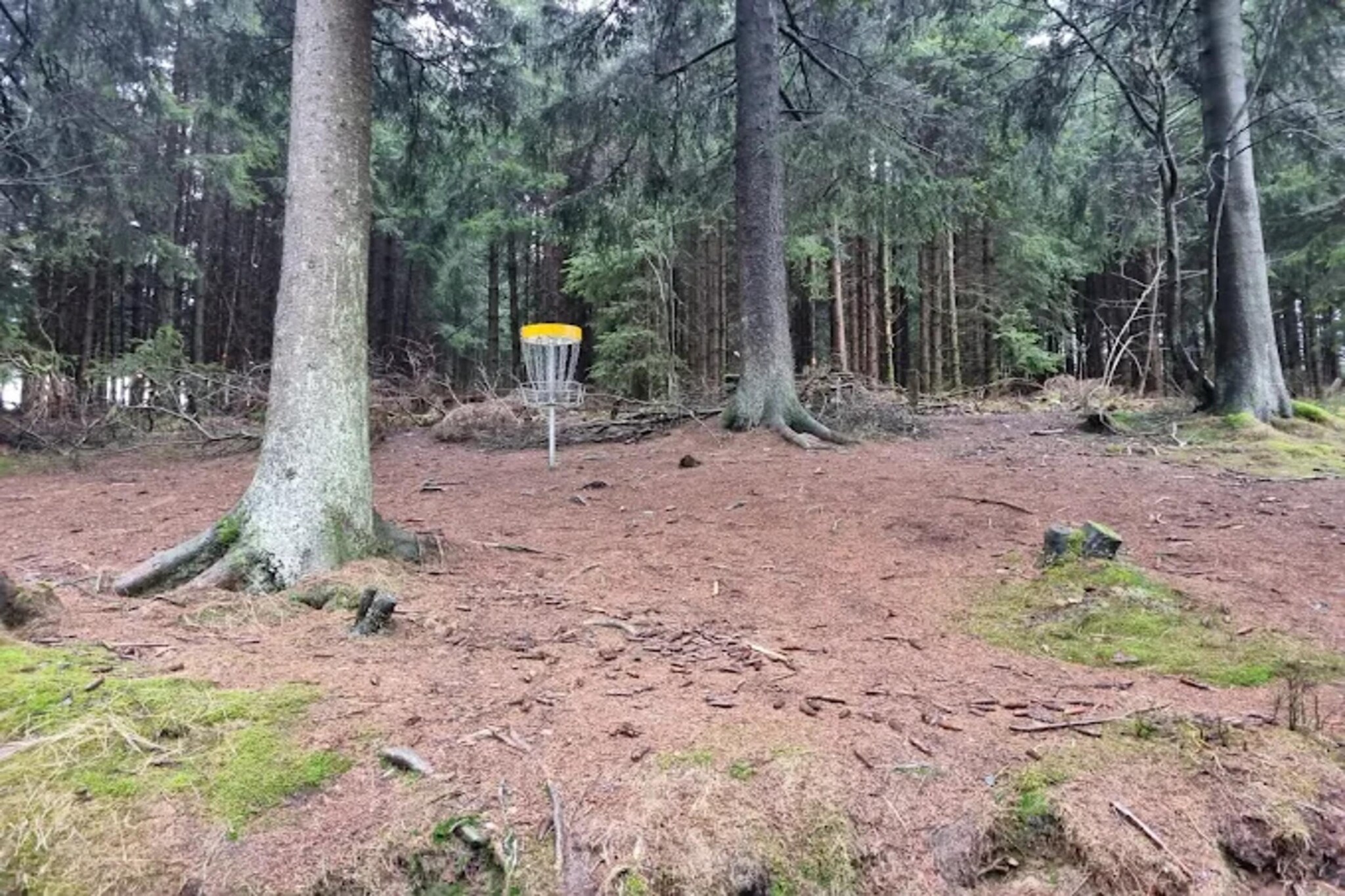 Appartement Lenneblick 2 - Altastenberg-Gebieden zomer 1km