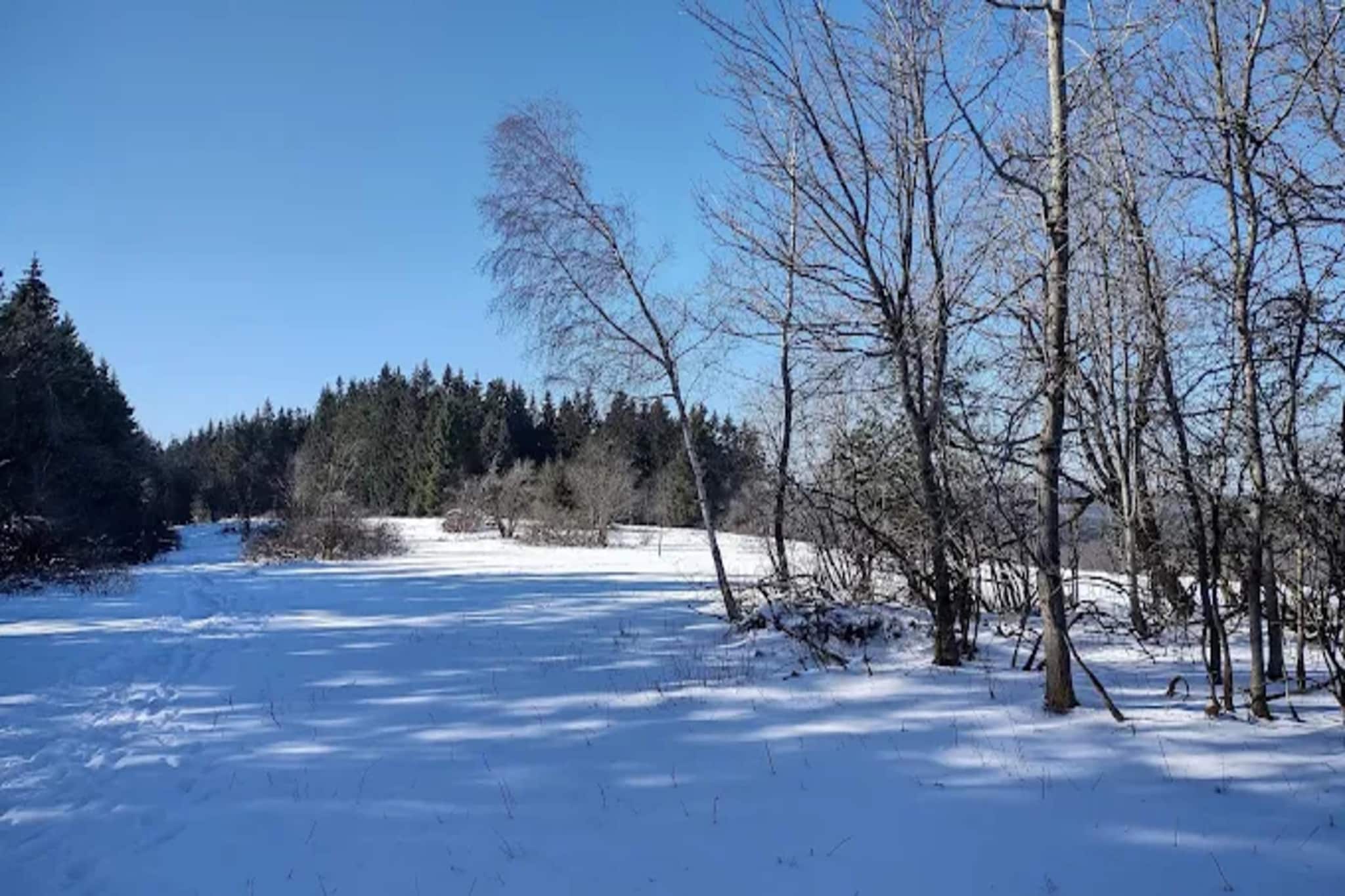 Appartement Lenneblick 2 - Altastenberg-Gebied winter 1km