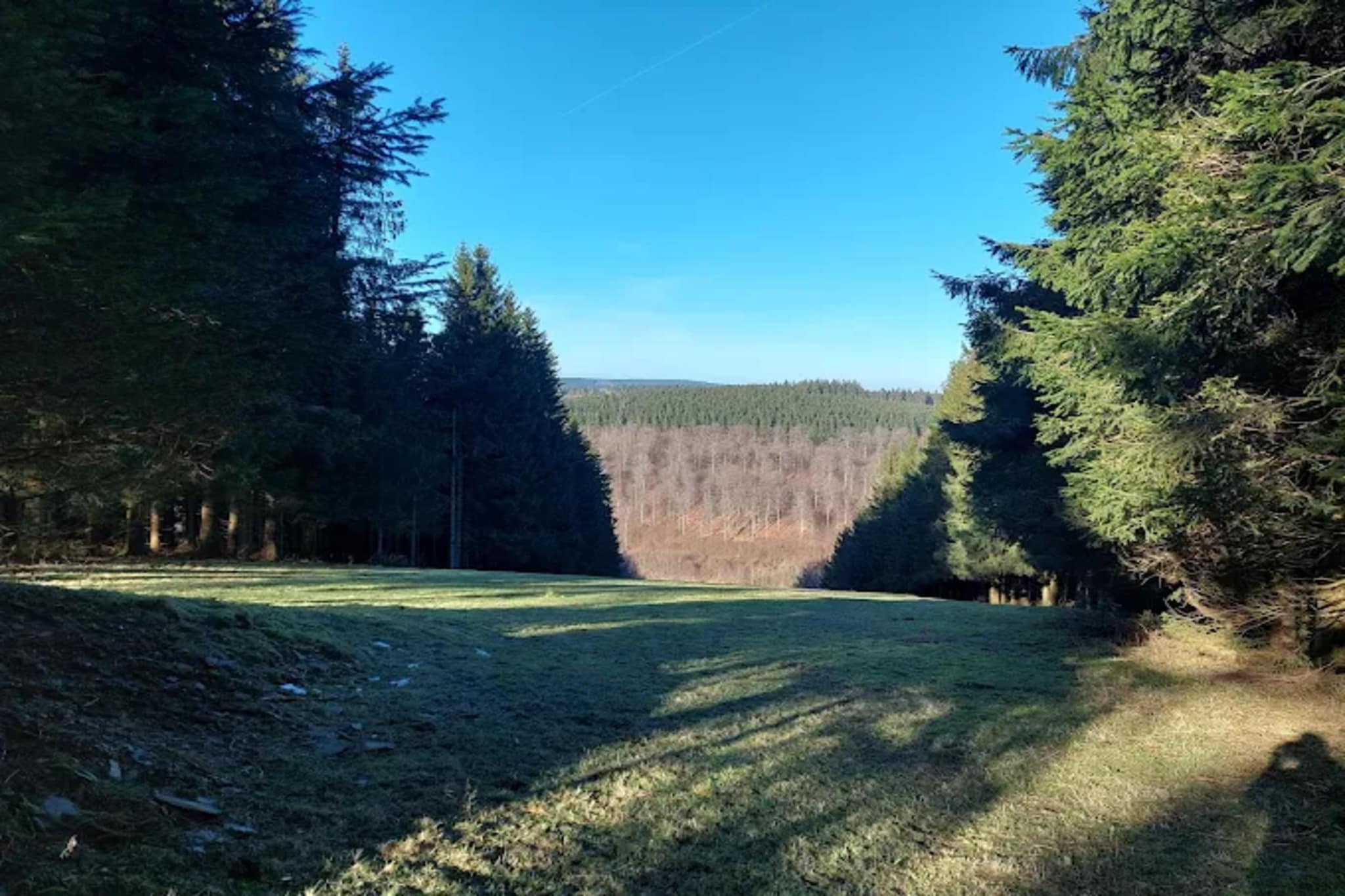 Appartement Lenneblick 2 - Altastenberg-Gebieden zomer 1km