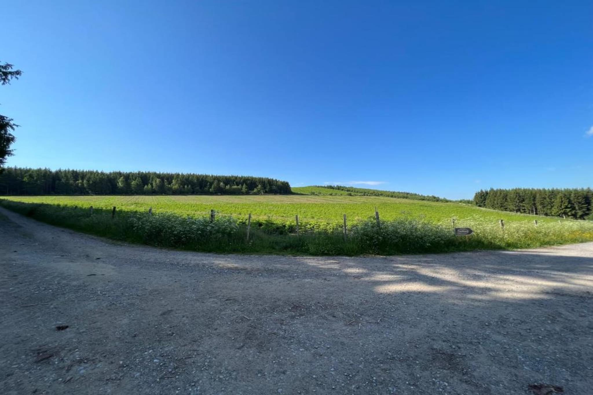 Ferienwohnung am Wald-Gebieden zomer 5km