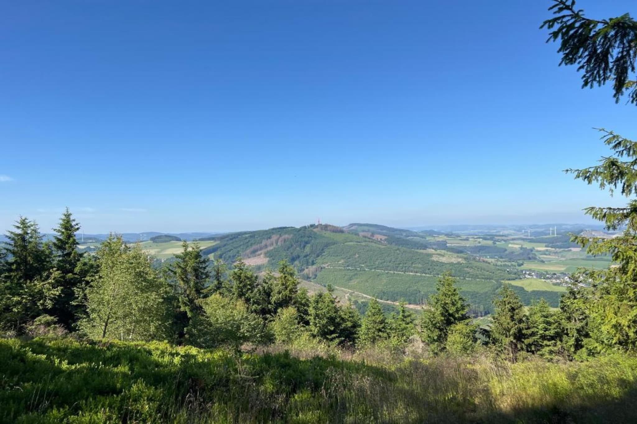 Ferienwohnung am Wald-Gebieden zomer 5km