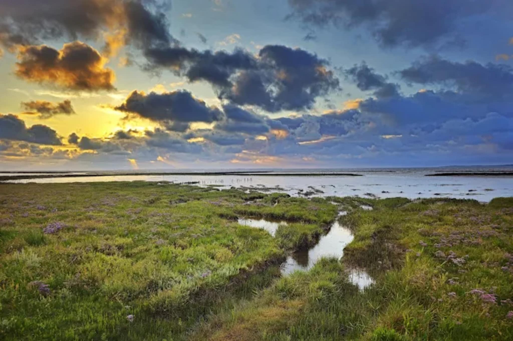 Bungalow Nordseebrise-Gebieden zomer 5km