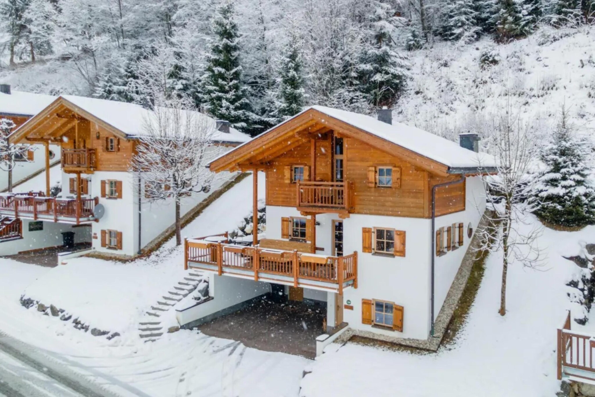 Schöneben Chalet Op 't Suyden - Exterieur winter