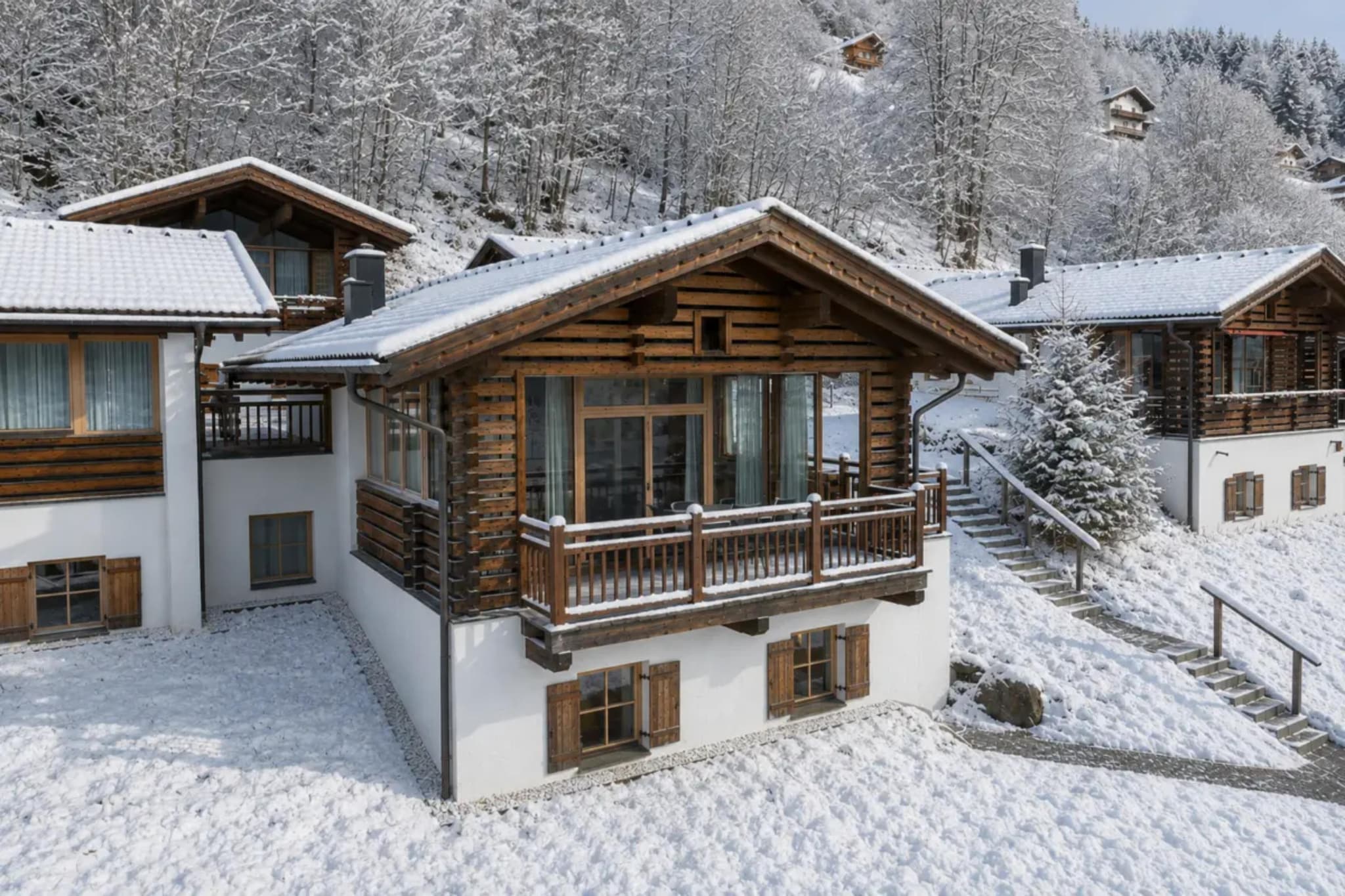 Schöneben Chalet Enzian - Exterior in winter