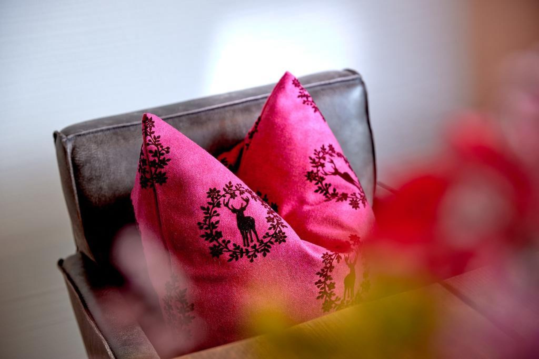 Nationalpark Chalet Gamsspitze-Ambiance