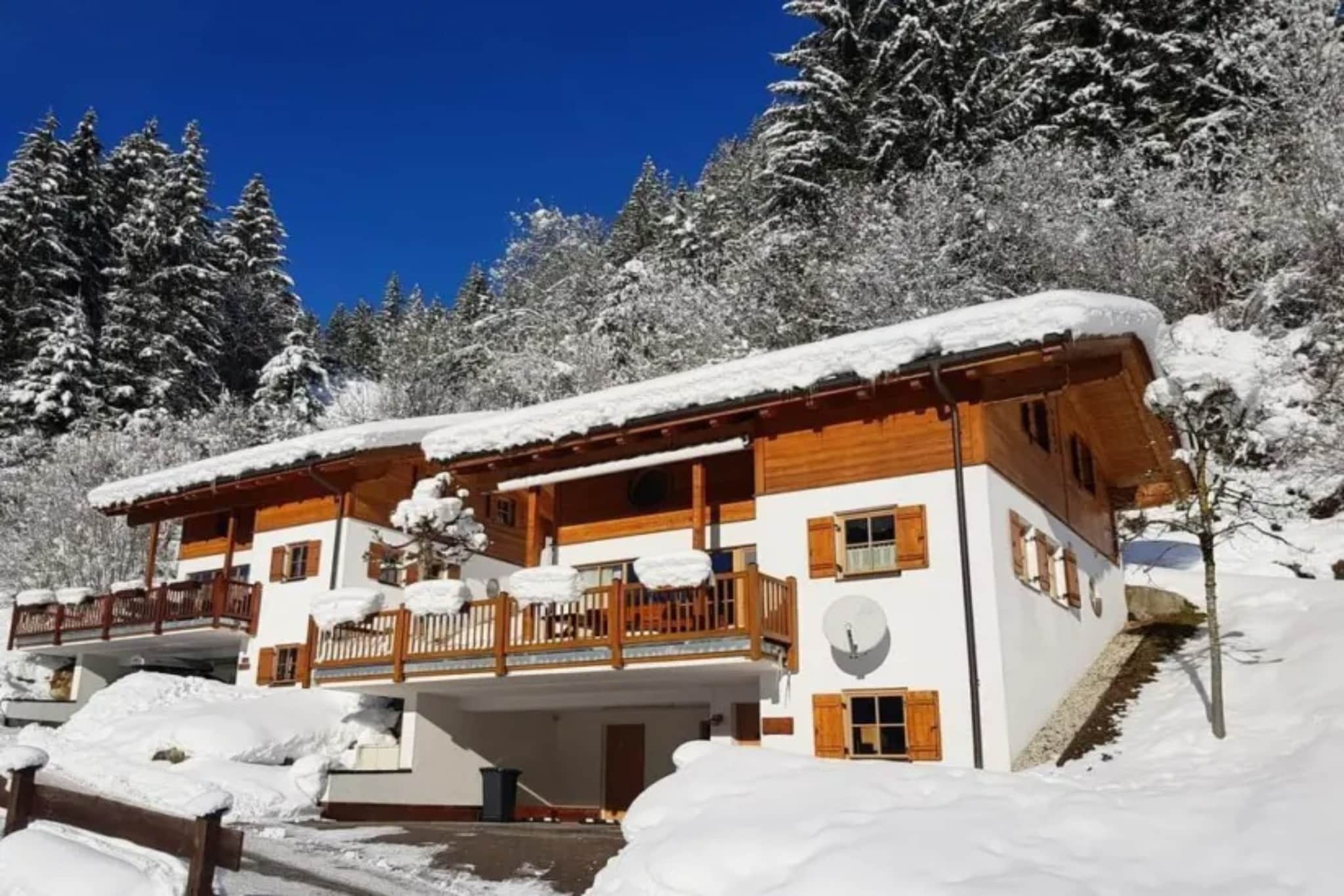 Schöneben Chalet Berghütte - Extérieur hiver
