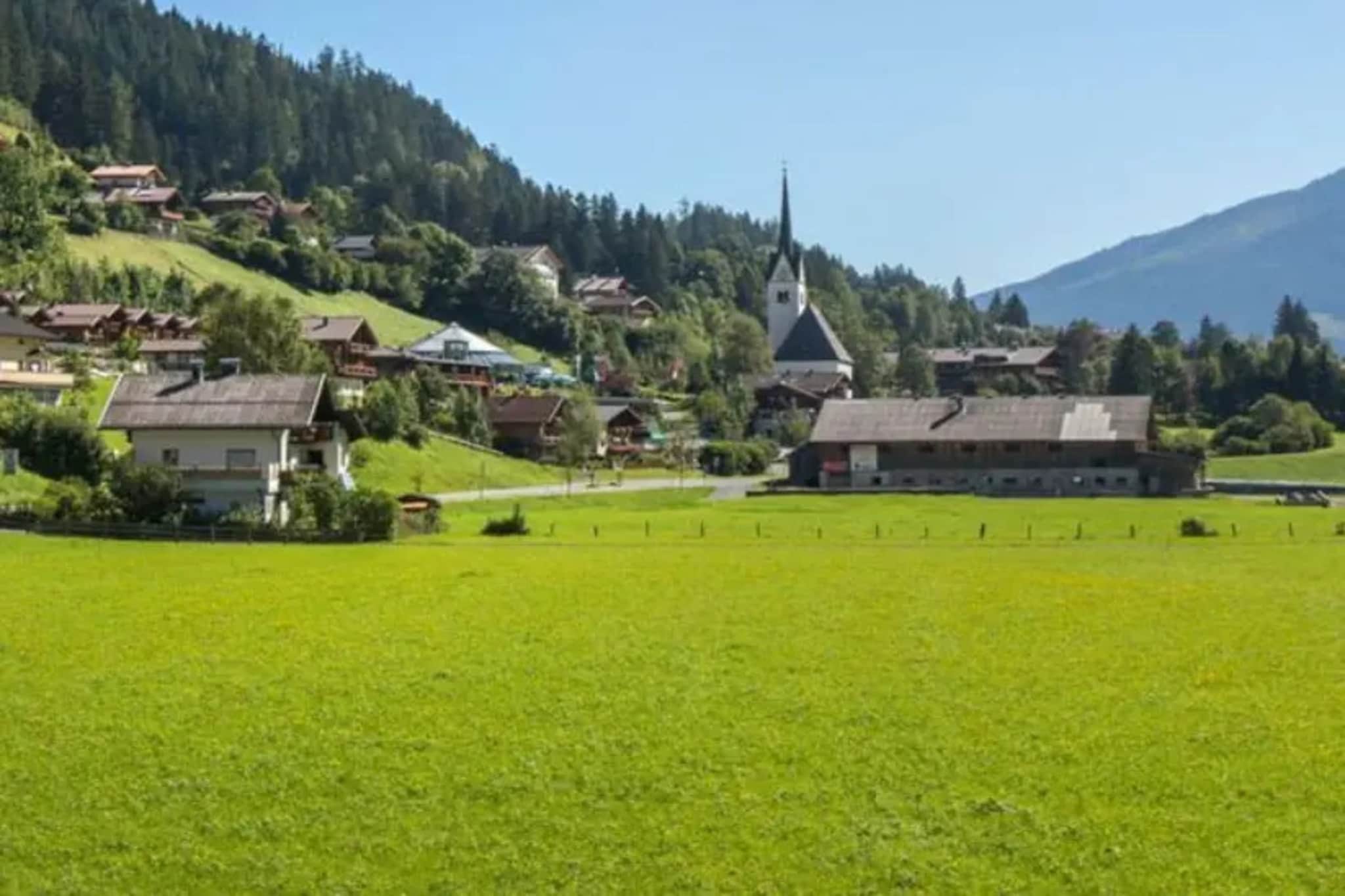 Schöneben  Abben Hütte - Gardens in summer