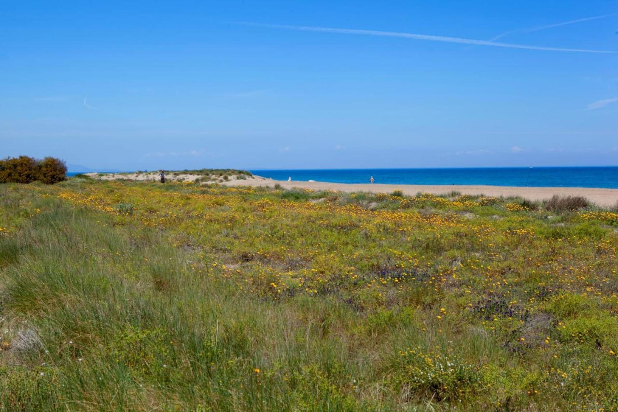 Atico en Denia-Areas summer 5km