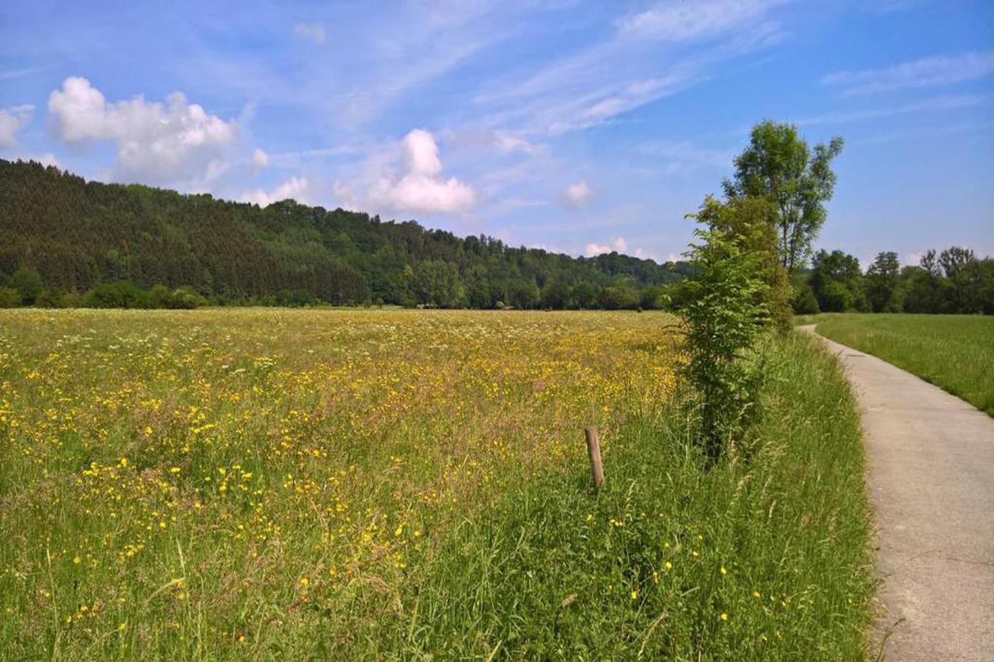 Natural Escape-Gebieden zomer 20km