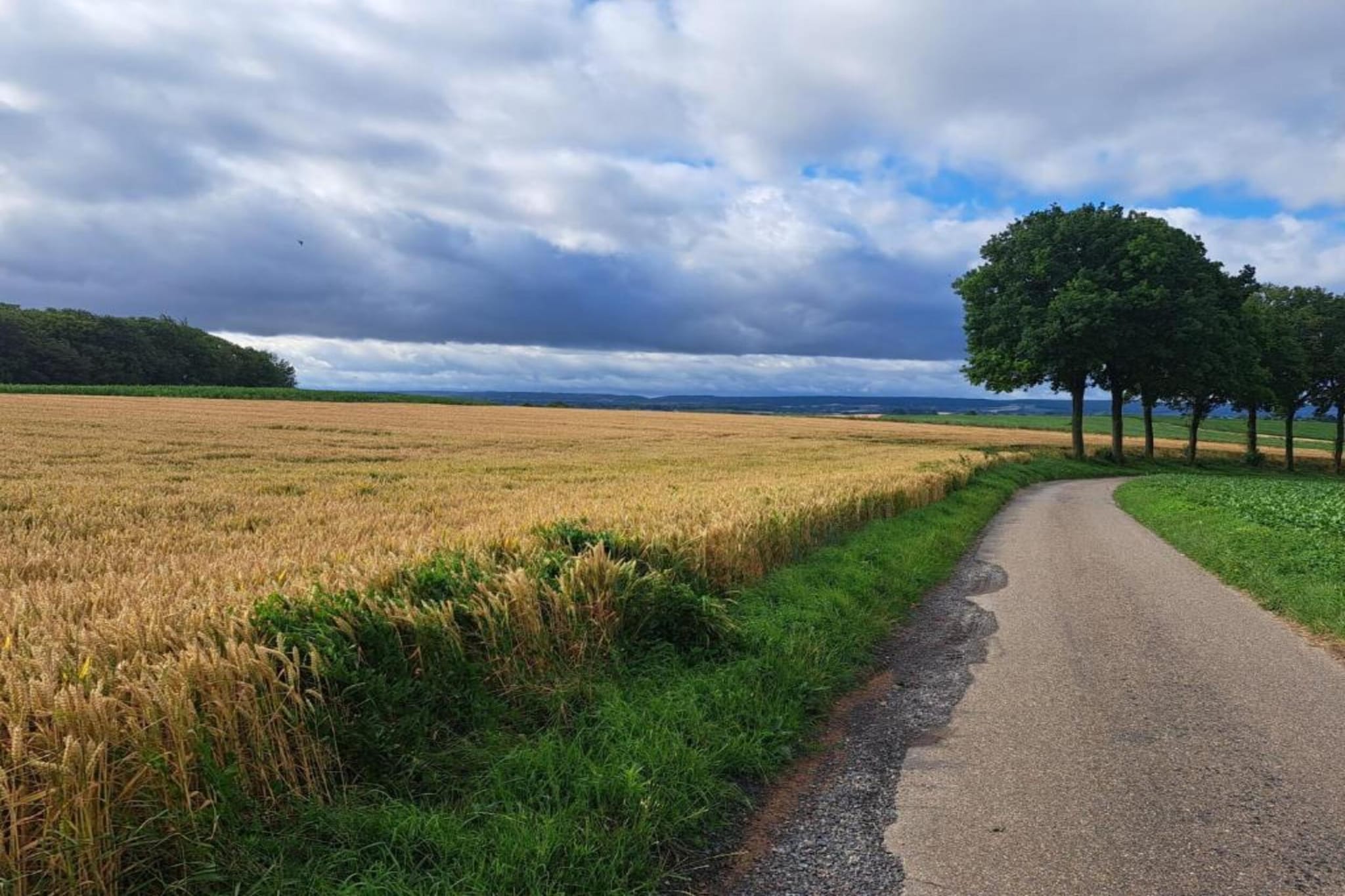 B&B Overloon 4 Personen-Gebieden zomer 20km