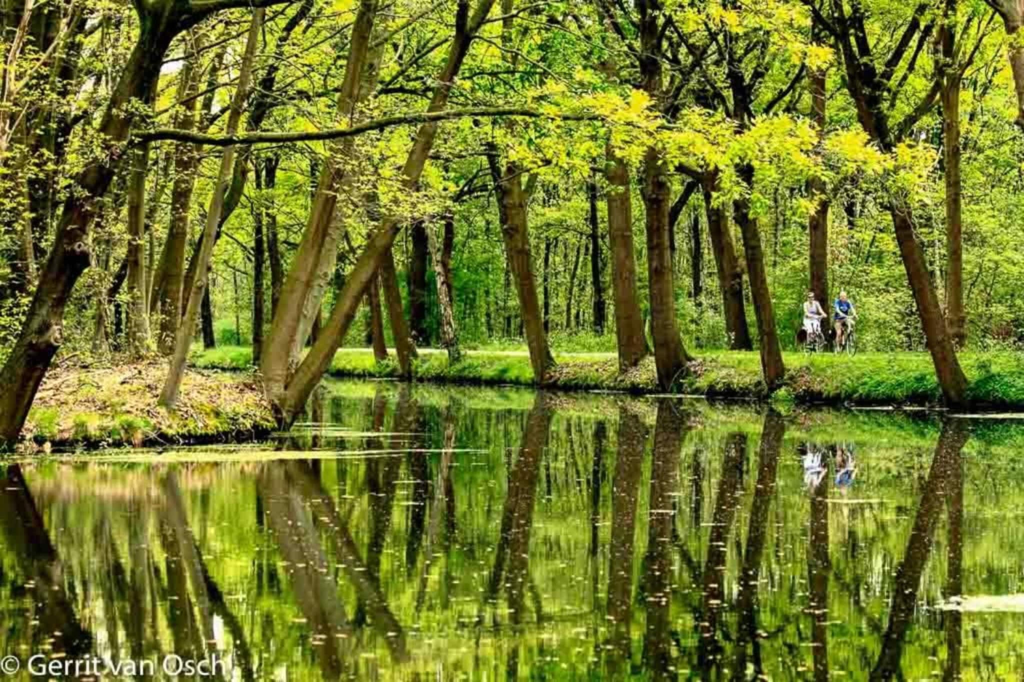 B&B Overloon 4 Personen-Gebieden zomer 20km