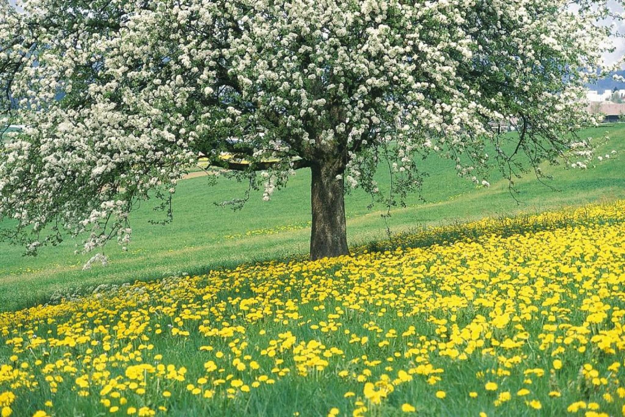 B&B Overloon 4 Personen-Gebieden zomer 20km