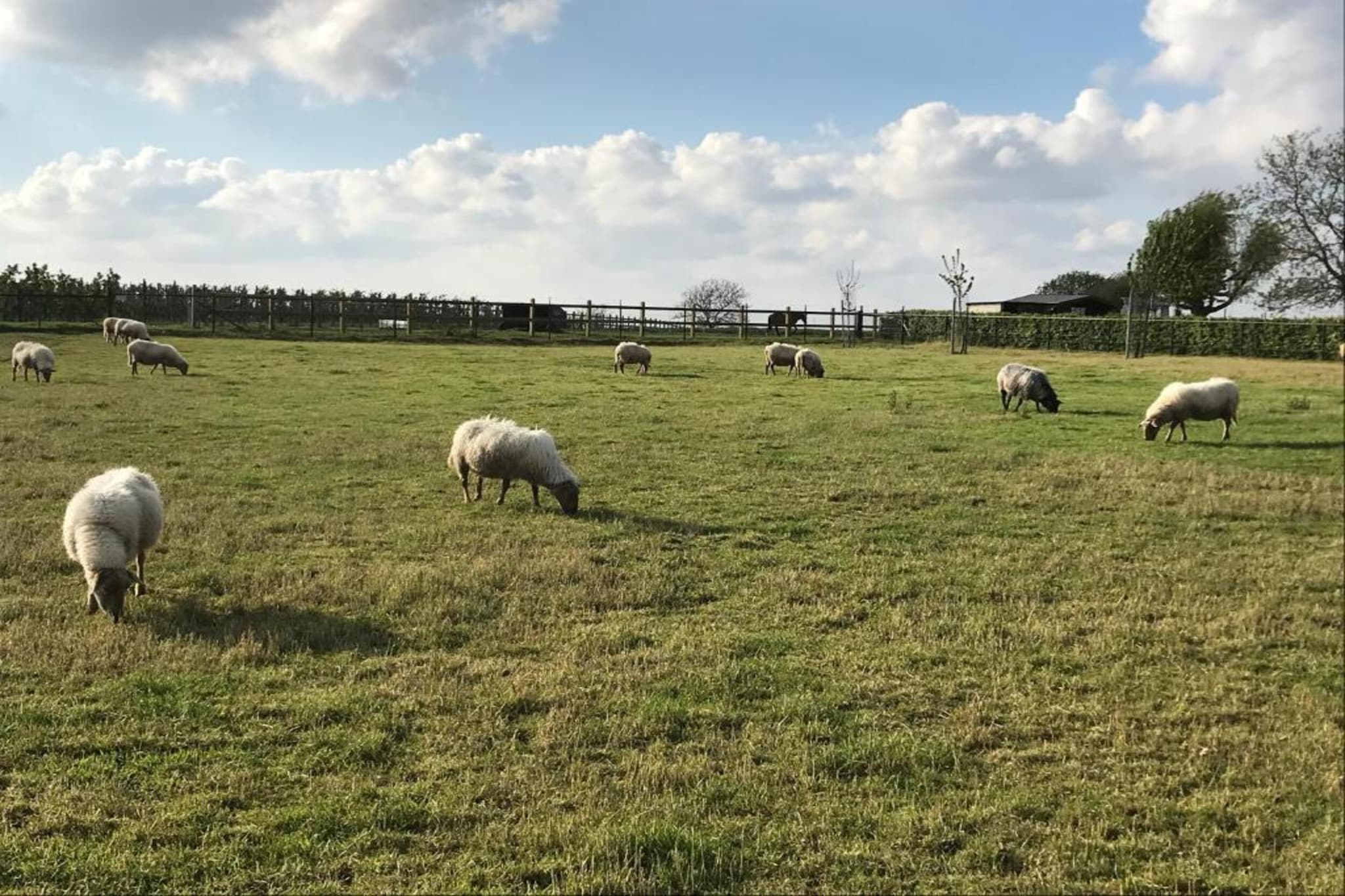 B&B Overloon 4 Personen-Gebieden zomer 20km