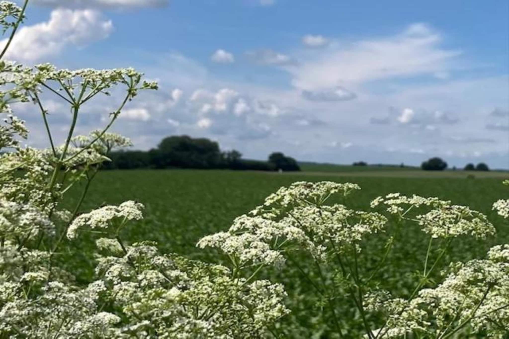 B&B Overloon 4 Personen-Gebieden zomer 20km