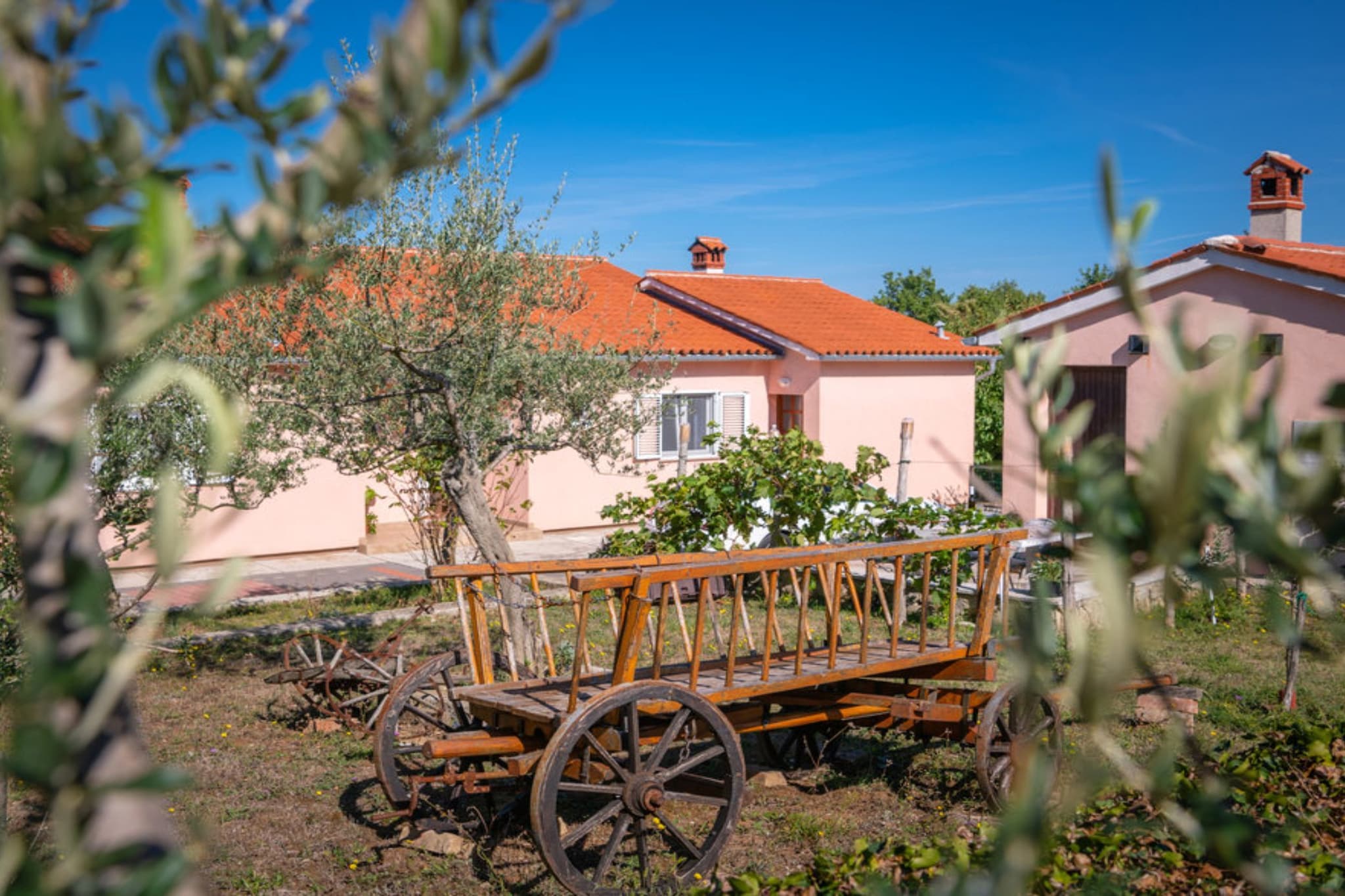 Villa SABINA - Breg Ivanovci - Three Bedroom Villa with Swimming Pool-Outdoor